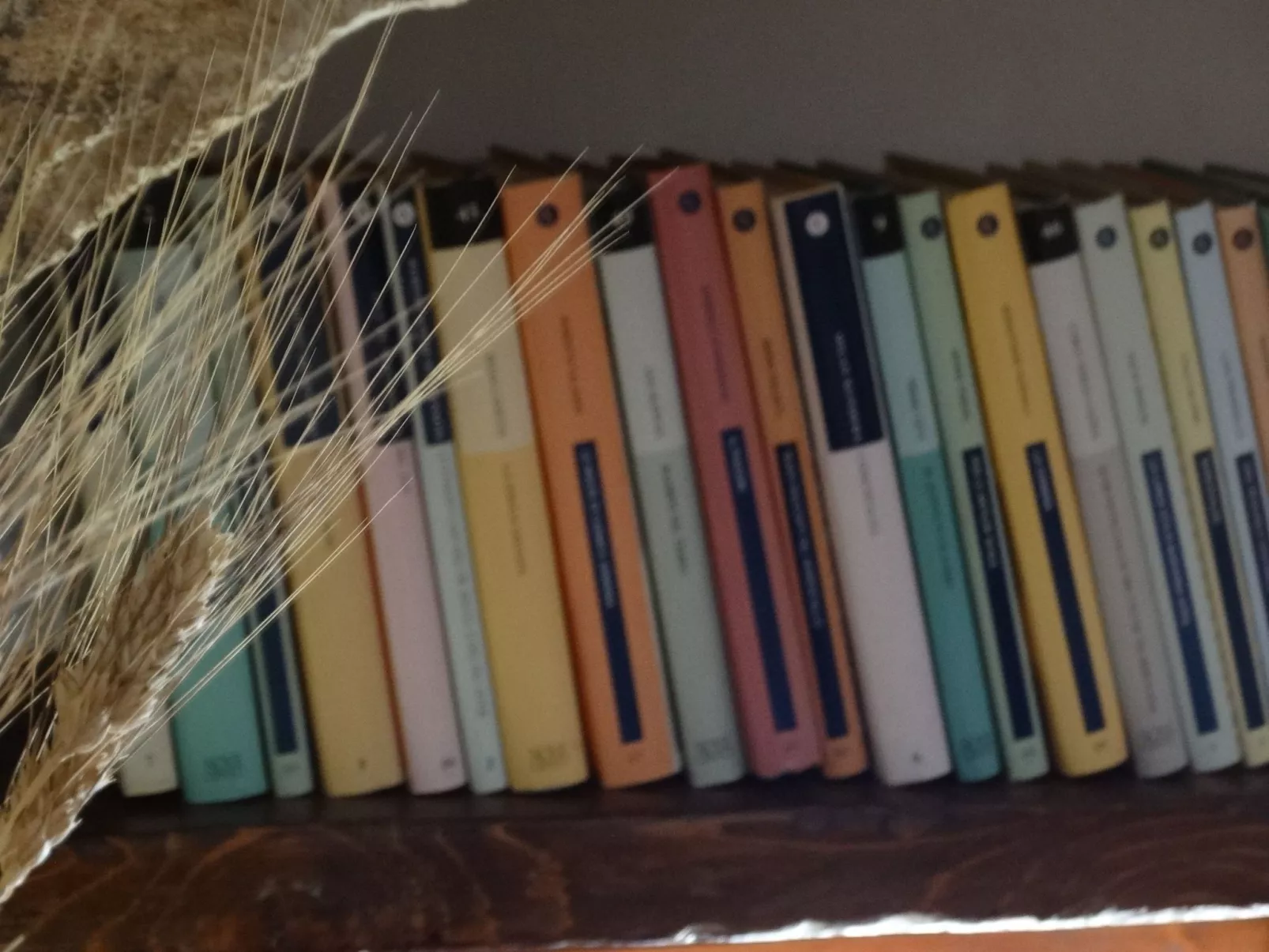 L'arenaria in Pachino-Buiten