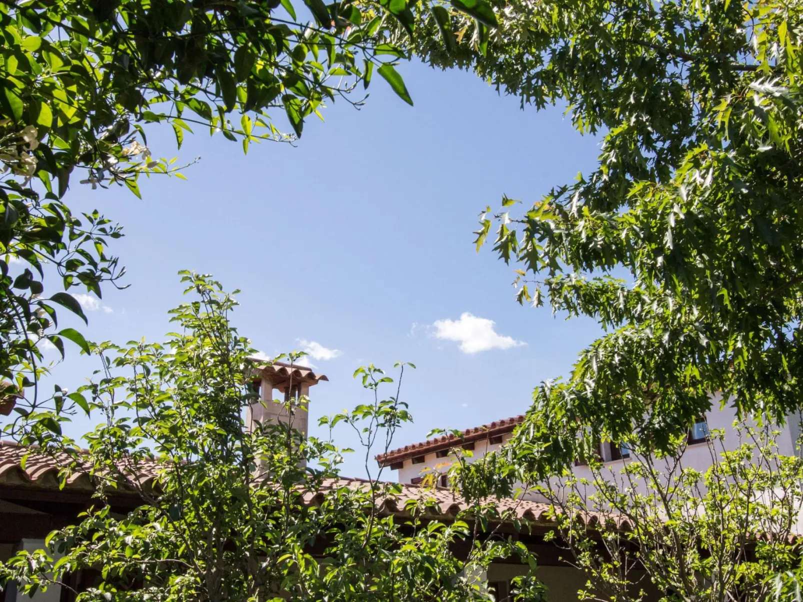 Natur, ökologische Nachhaltigkeit, nur für Erwachsene, Meer in der Nähe-Buiten