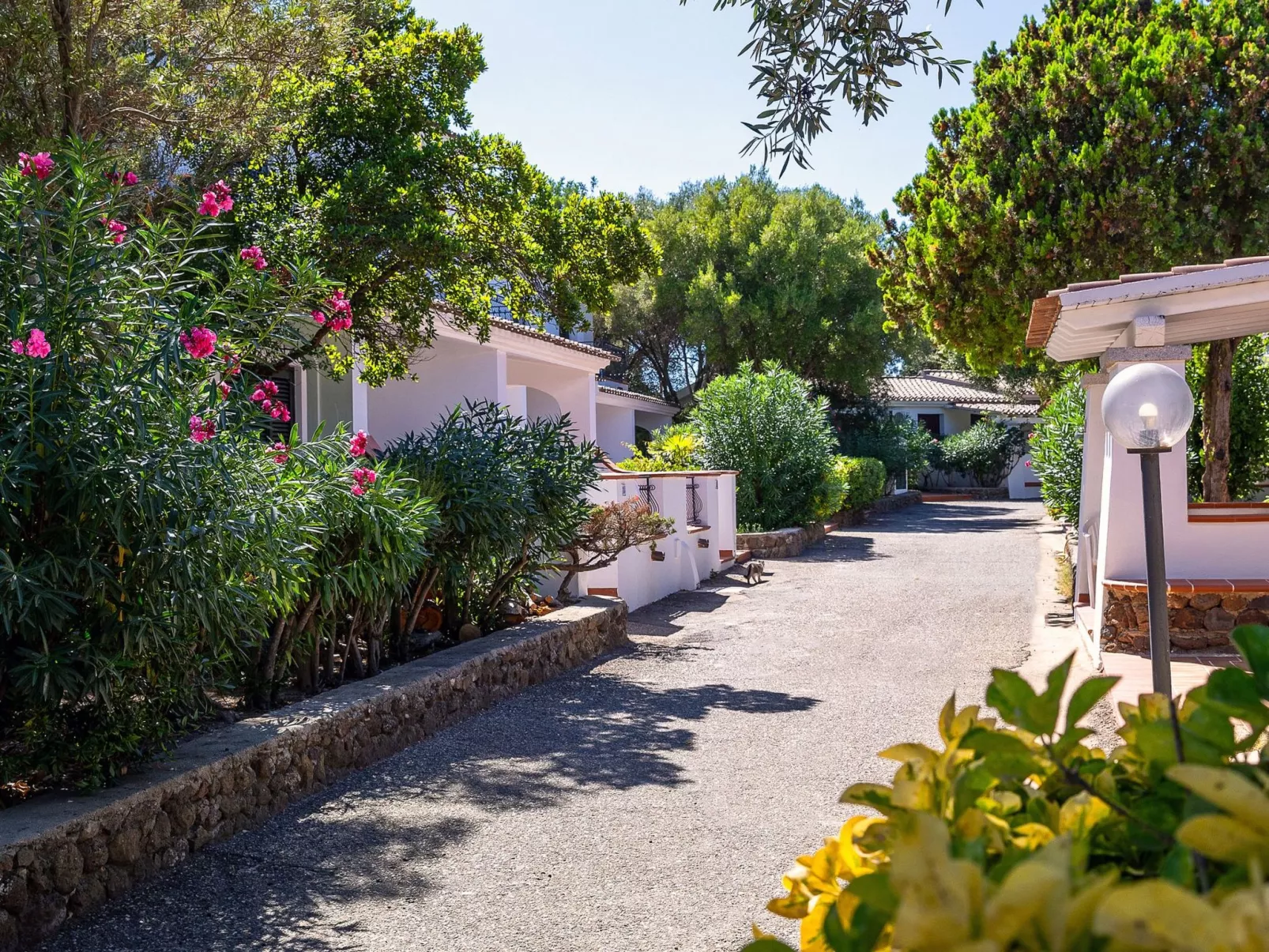 Apt. Dorata SB, mit Eigentumswohnungs-Schwimmbad-Buiten