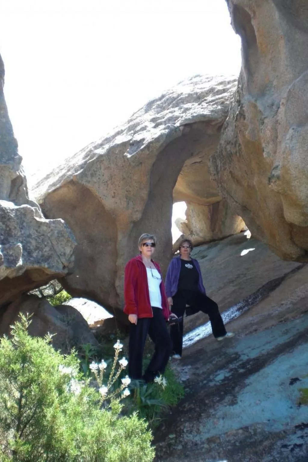 'Villetta Il Mirto-Image-tags.info