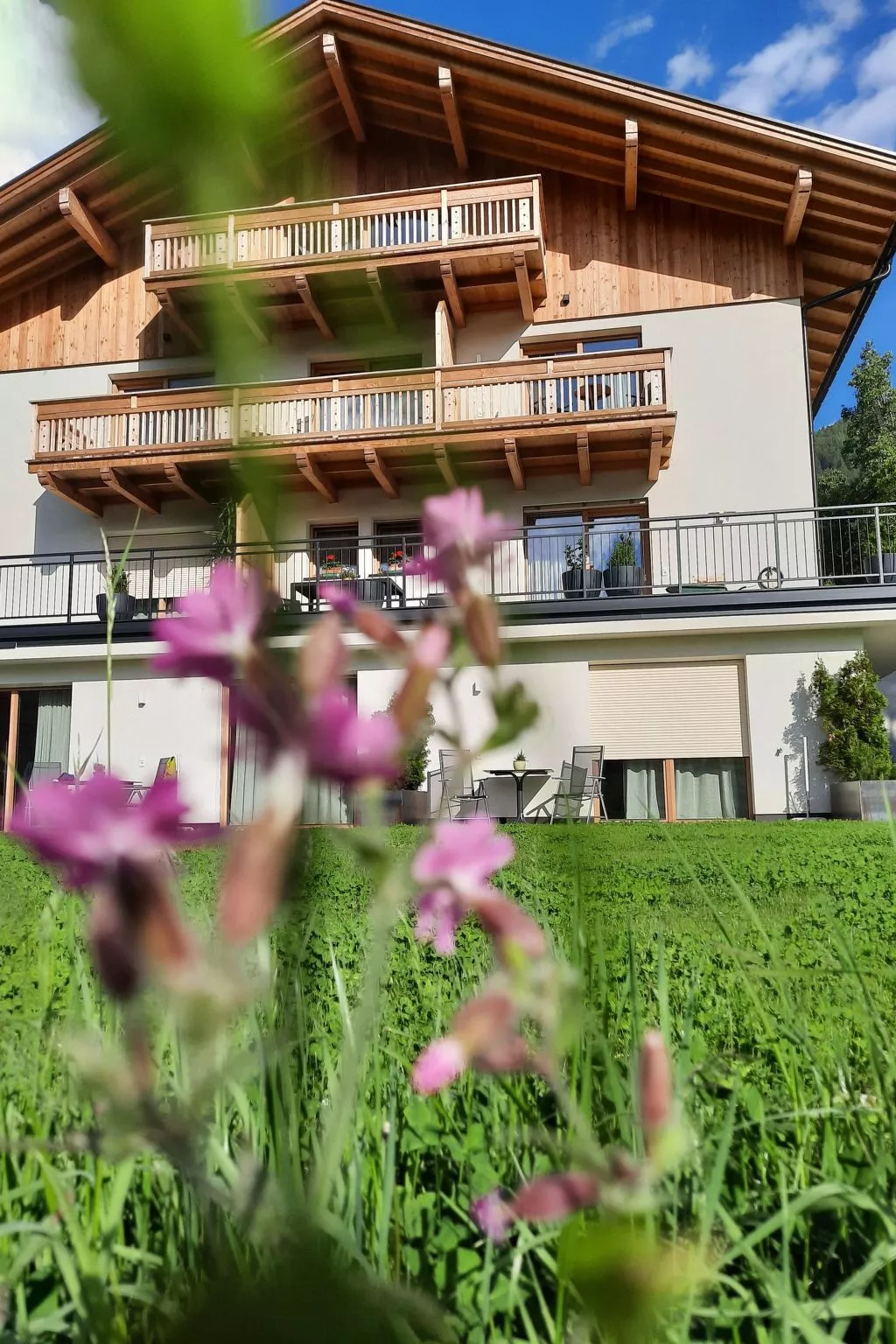 Tera-Image-tags.info