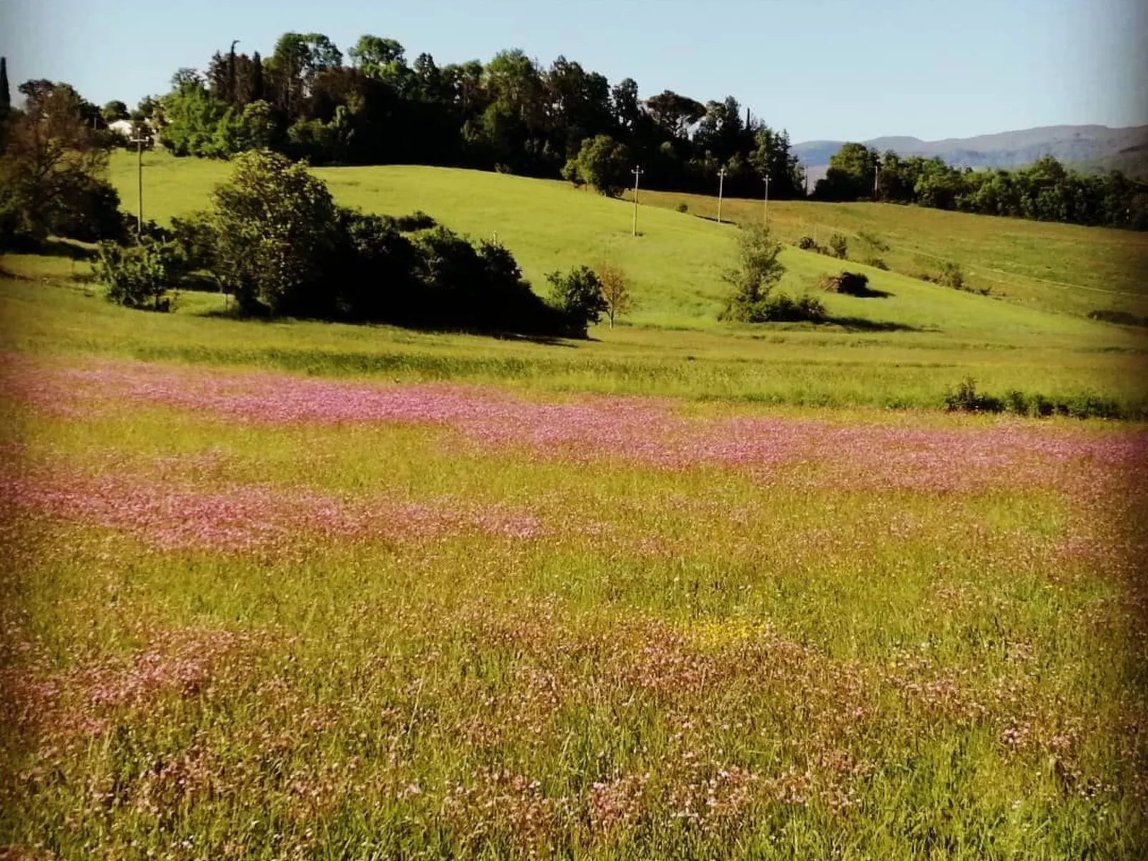 Landgut "La Tabaccaia" mit eigenem Garten und Grill-Image-tags.info