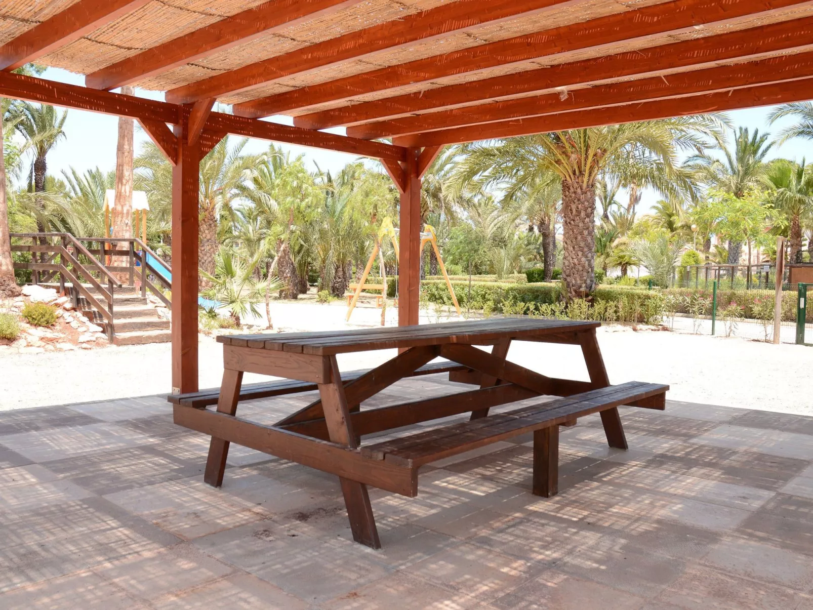 Olivos 8-Image-tags.info