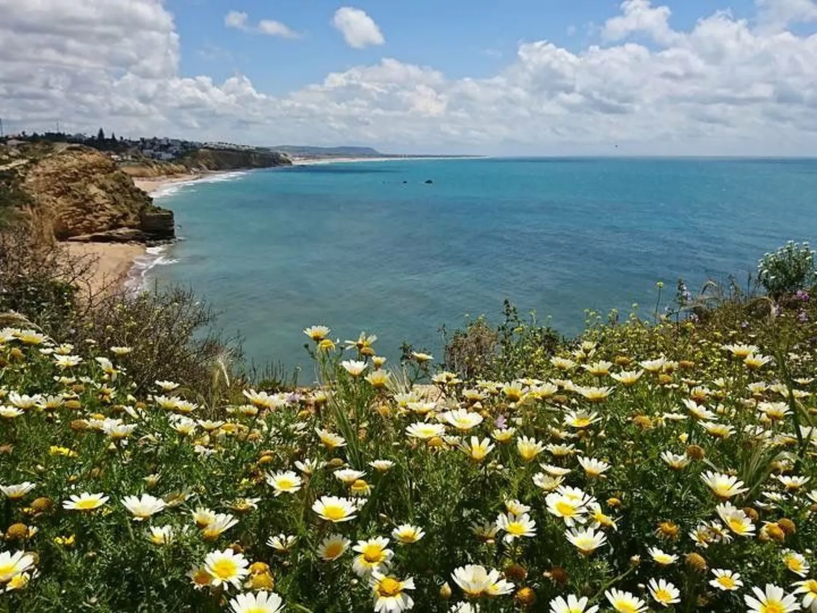 Helle und geräumige Wohnung in Conil-Buiten