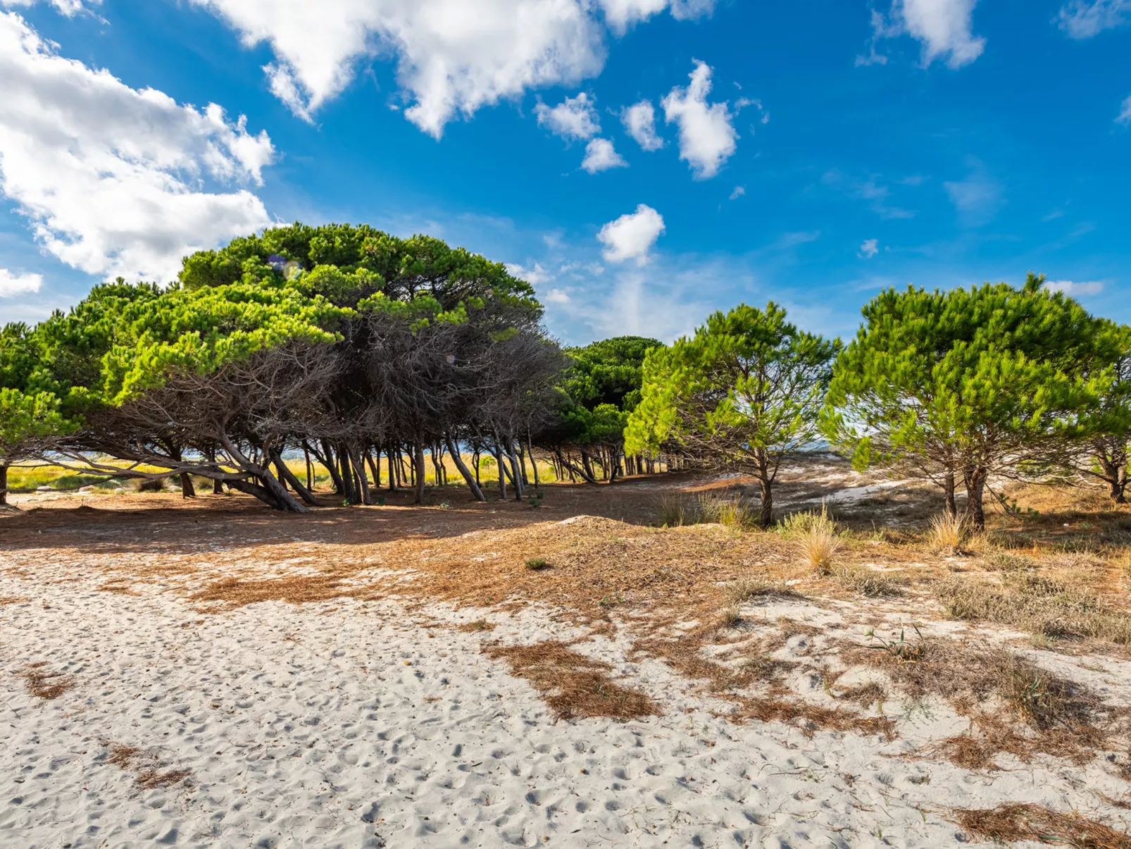 Haus in La Caletta mit Garten und Grill-Omgeving