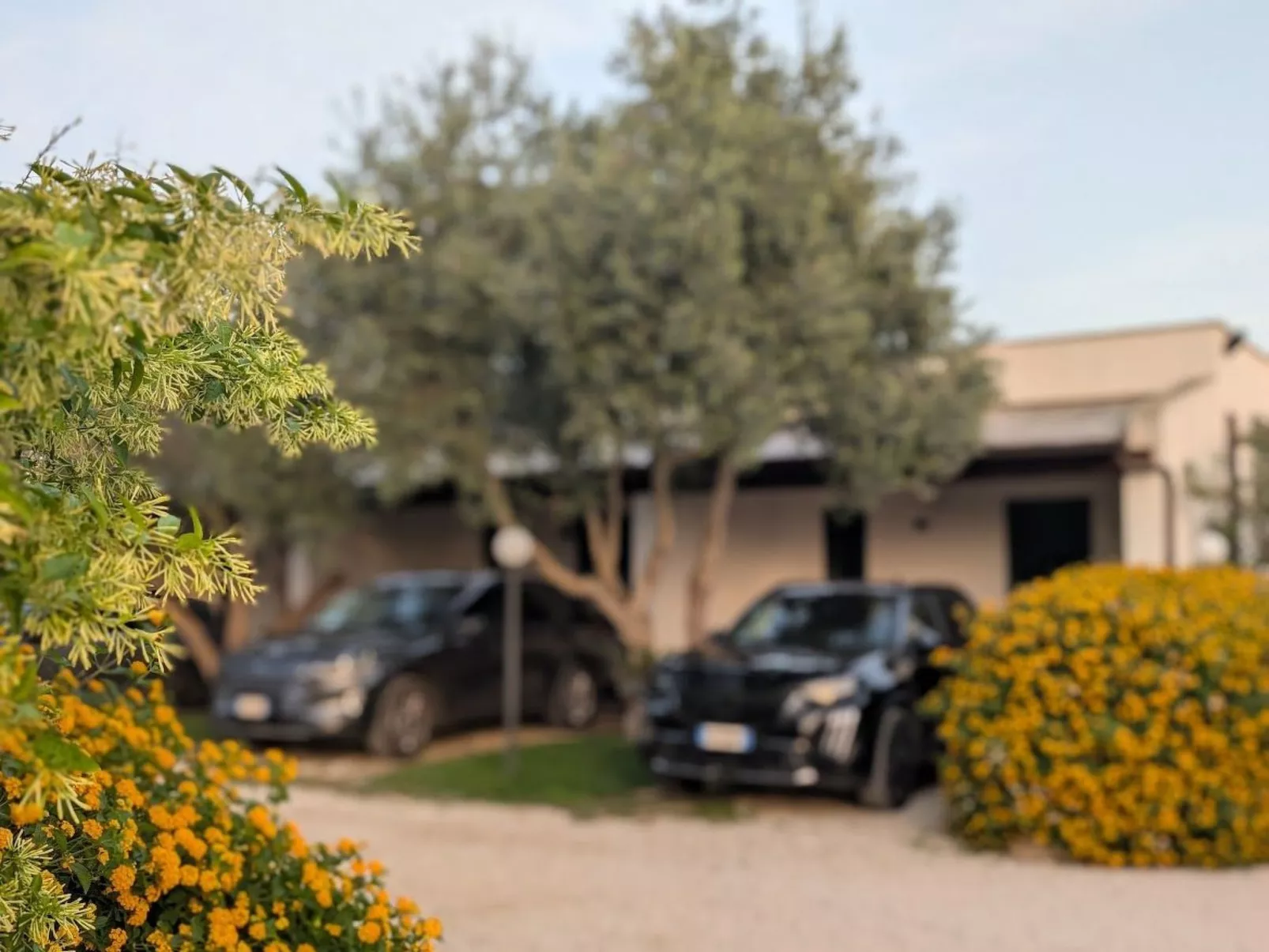 Villetta Bungalow-Buiten