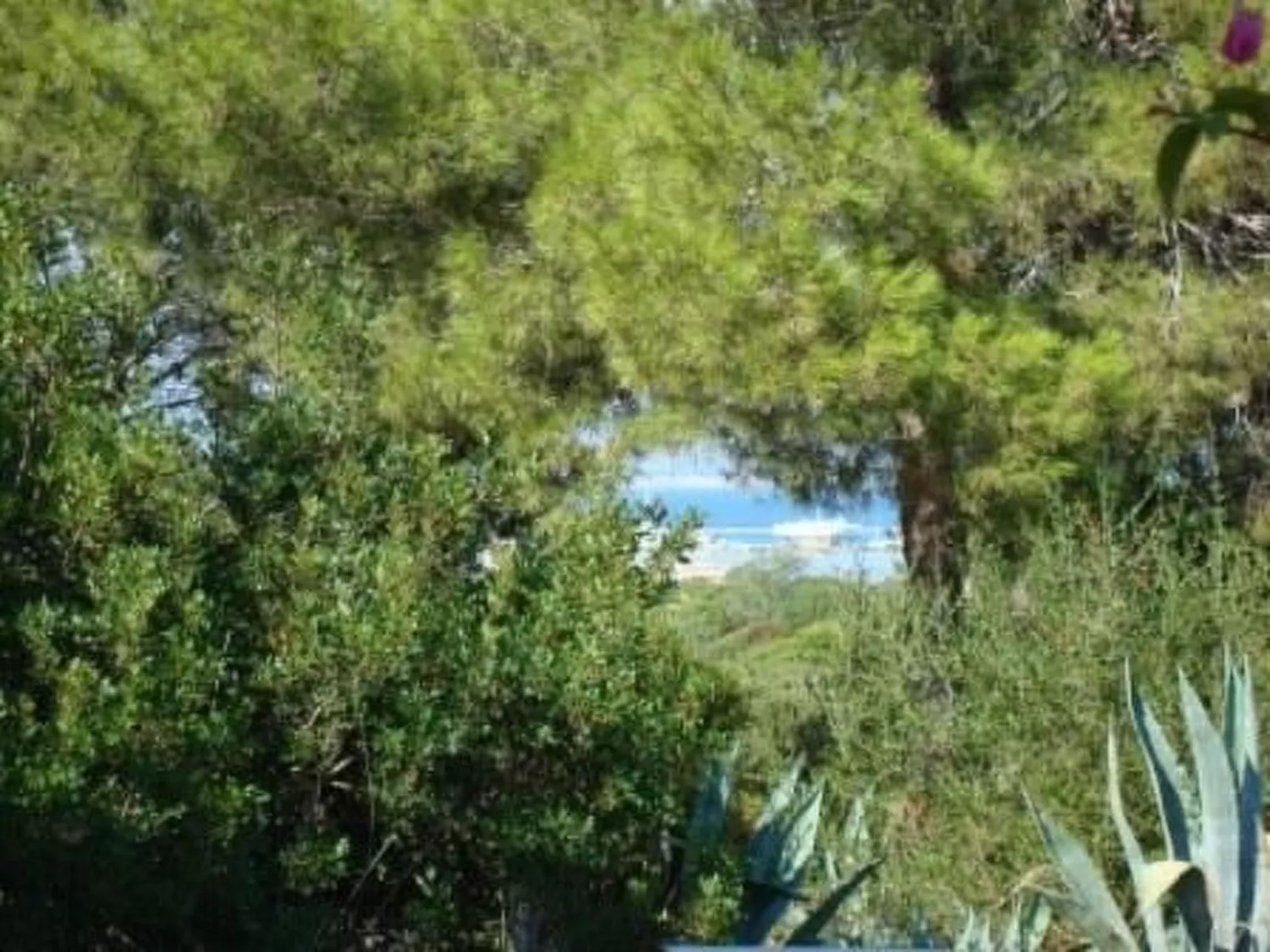 'Luciana' mit Wasserblick-Image-tags.info