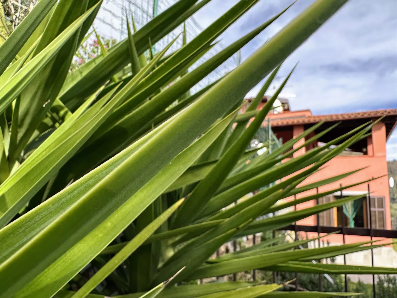 Haus Perlei-Image-tags.info