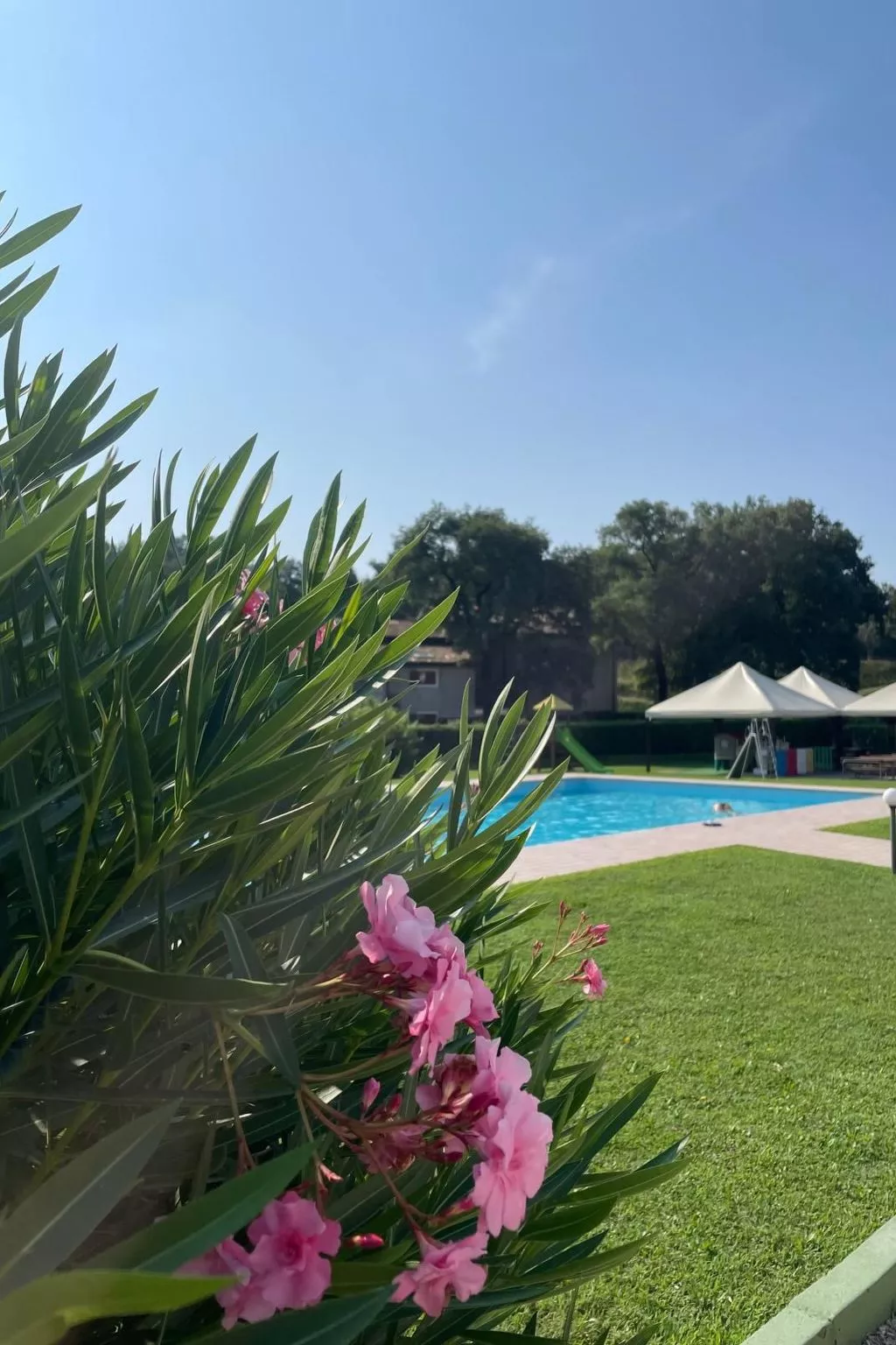 Wohnung in Costermano mit privatem Parkplatz-Image-tags.info