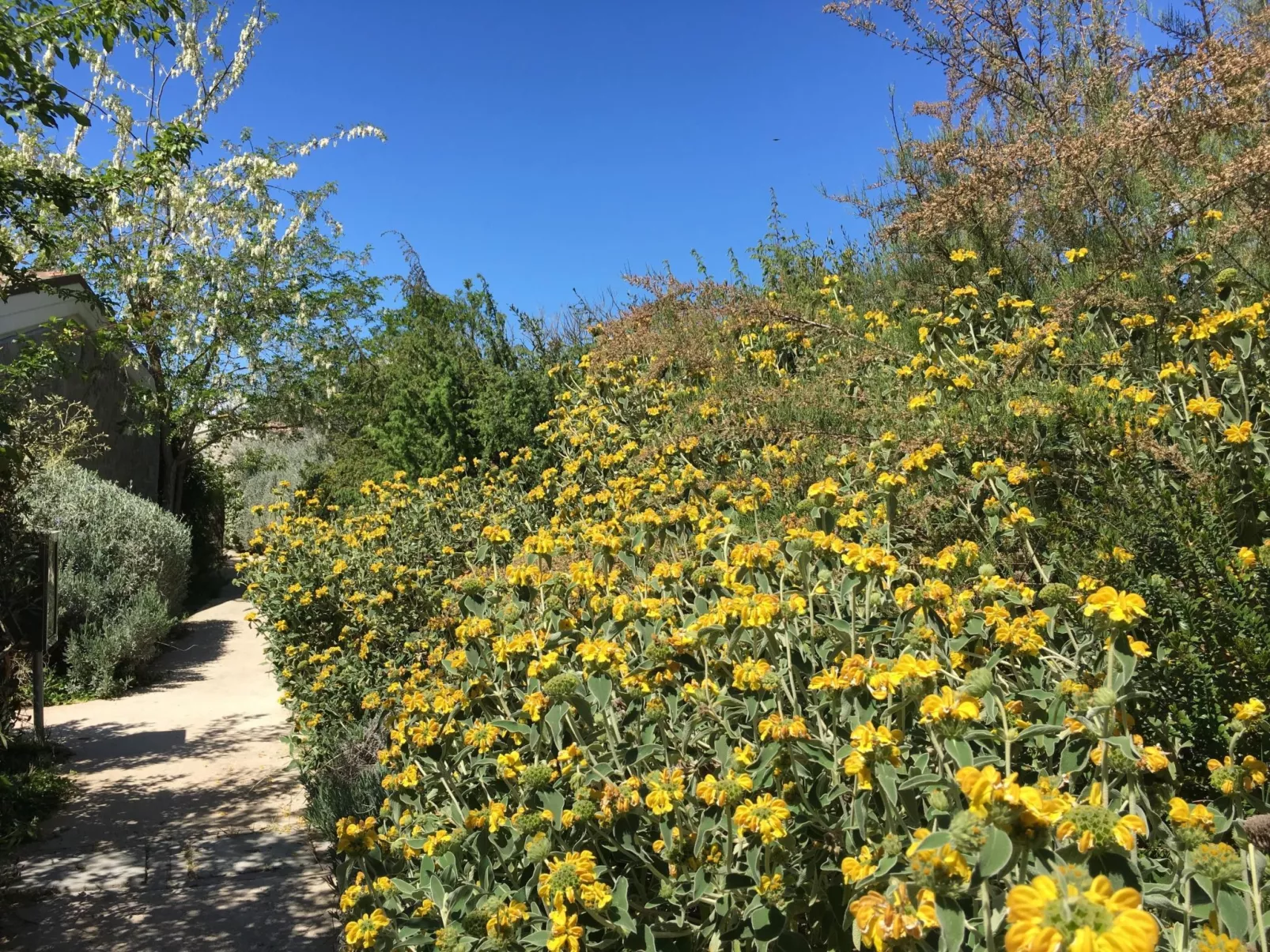 Ferienwohnung-Buiten