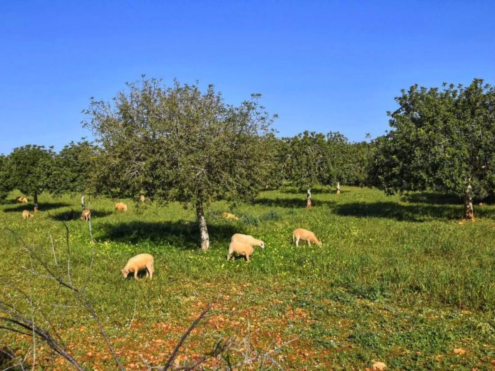 Bonita casa cerca del mar-Image-tags.info