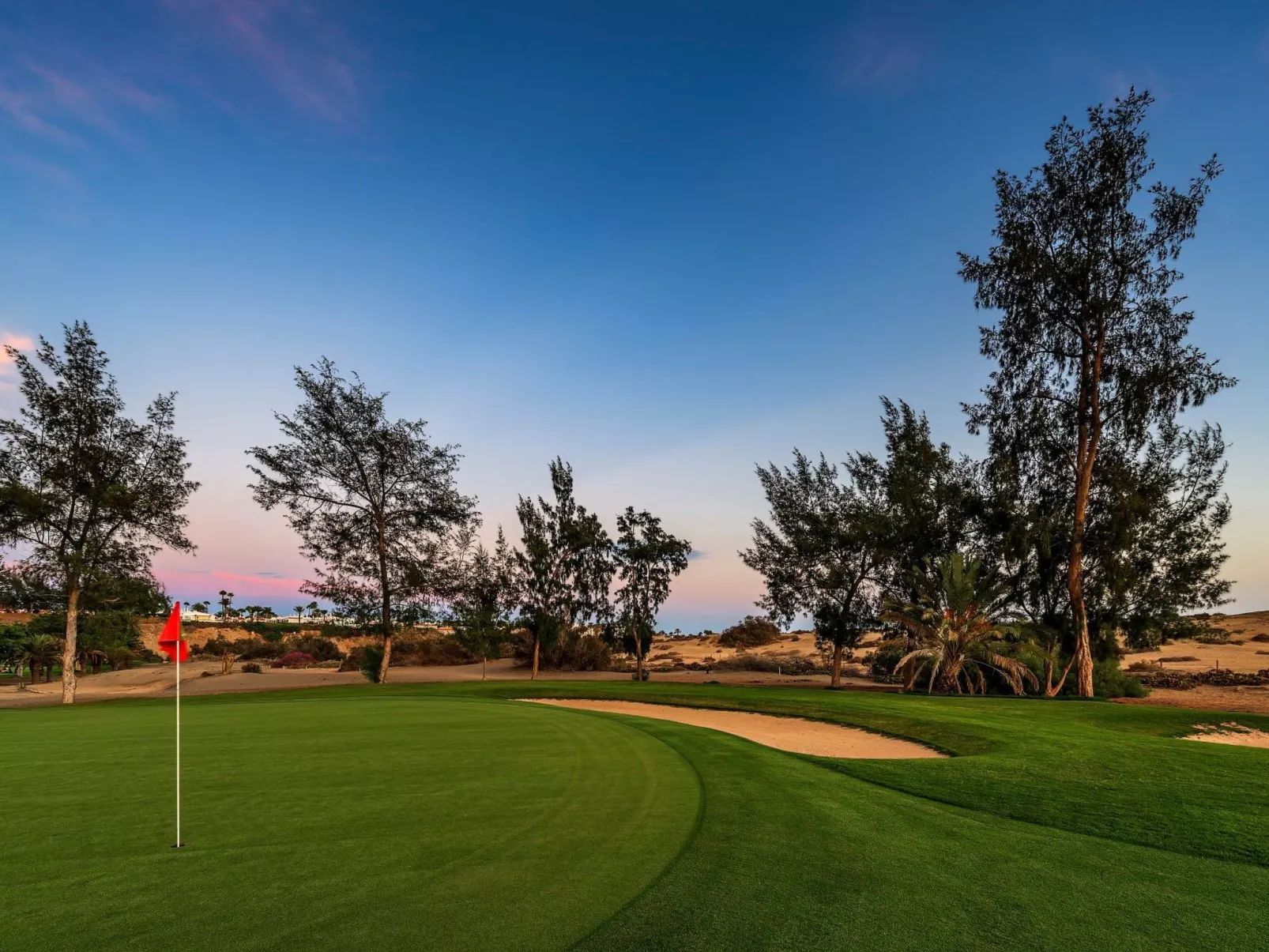 Bungalow Dunaflor mit Terrasse-Buiten