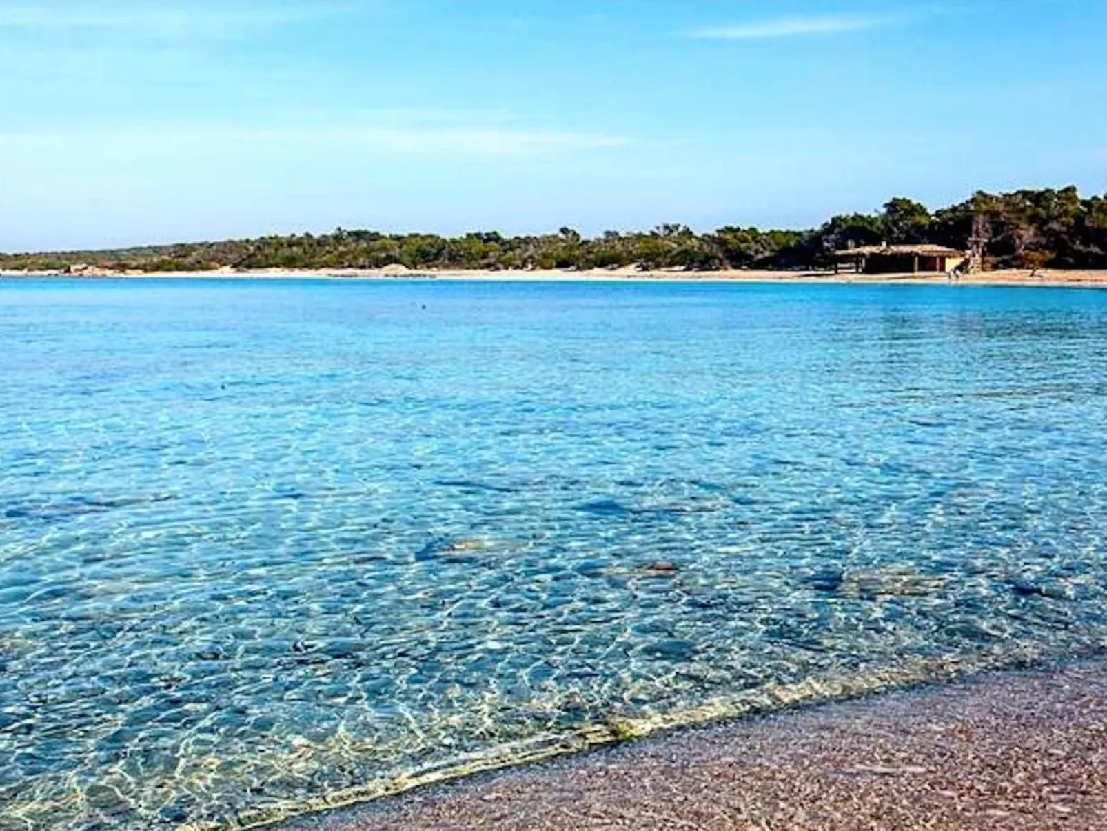 Finca Esmeralda-Image-tags.info