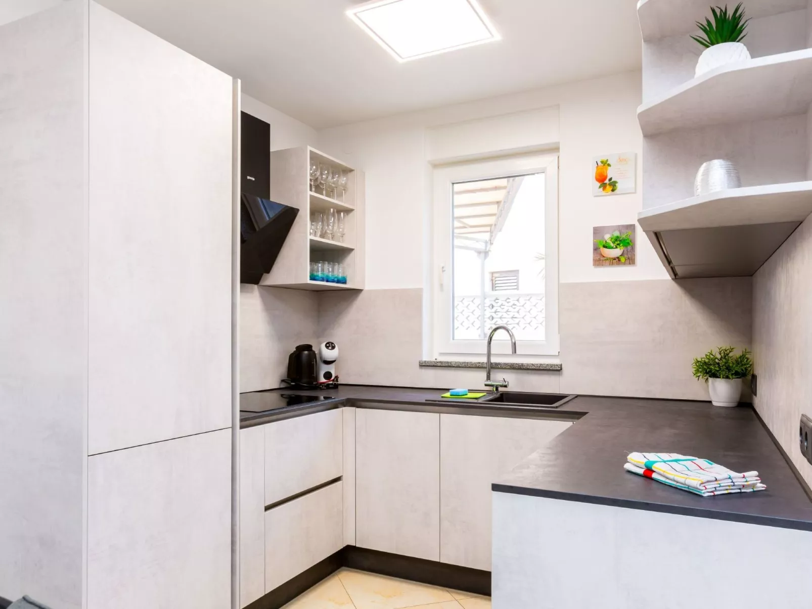 Palms Medulin-Image-tags.info