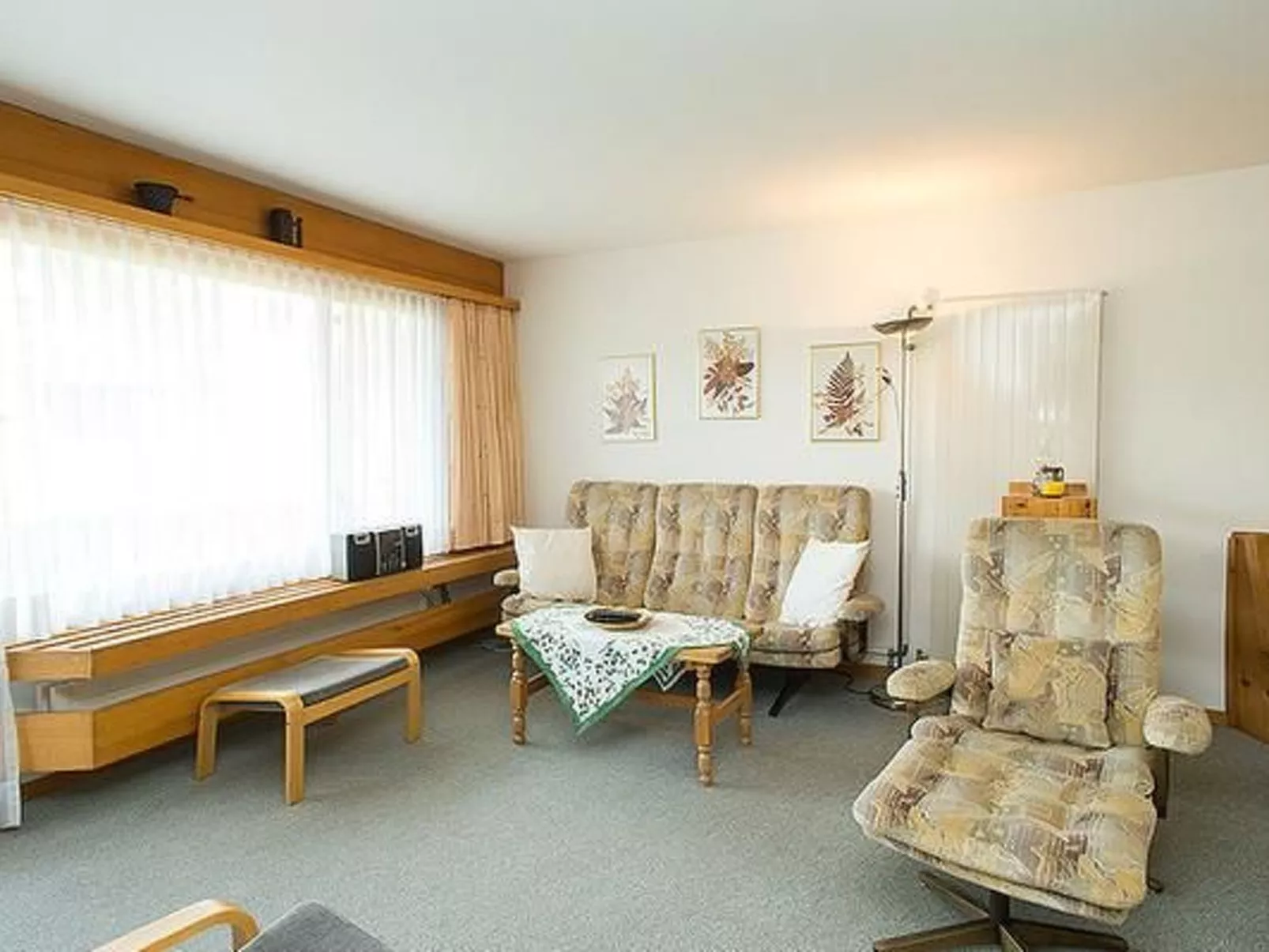 Arnica 5-Image-tags.info