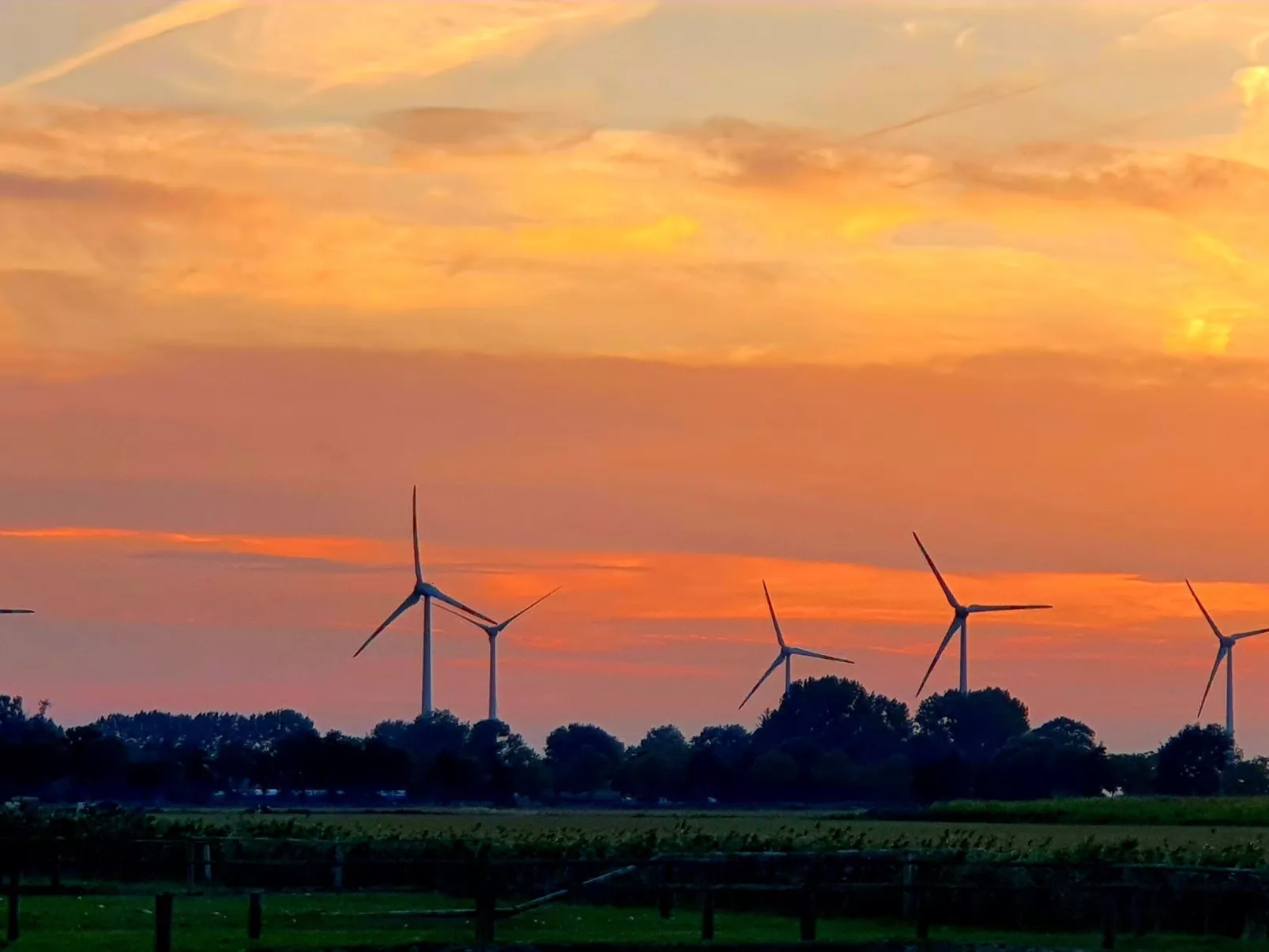 Marschenhuus-Image-tags.info