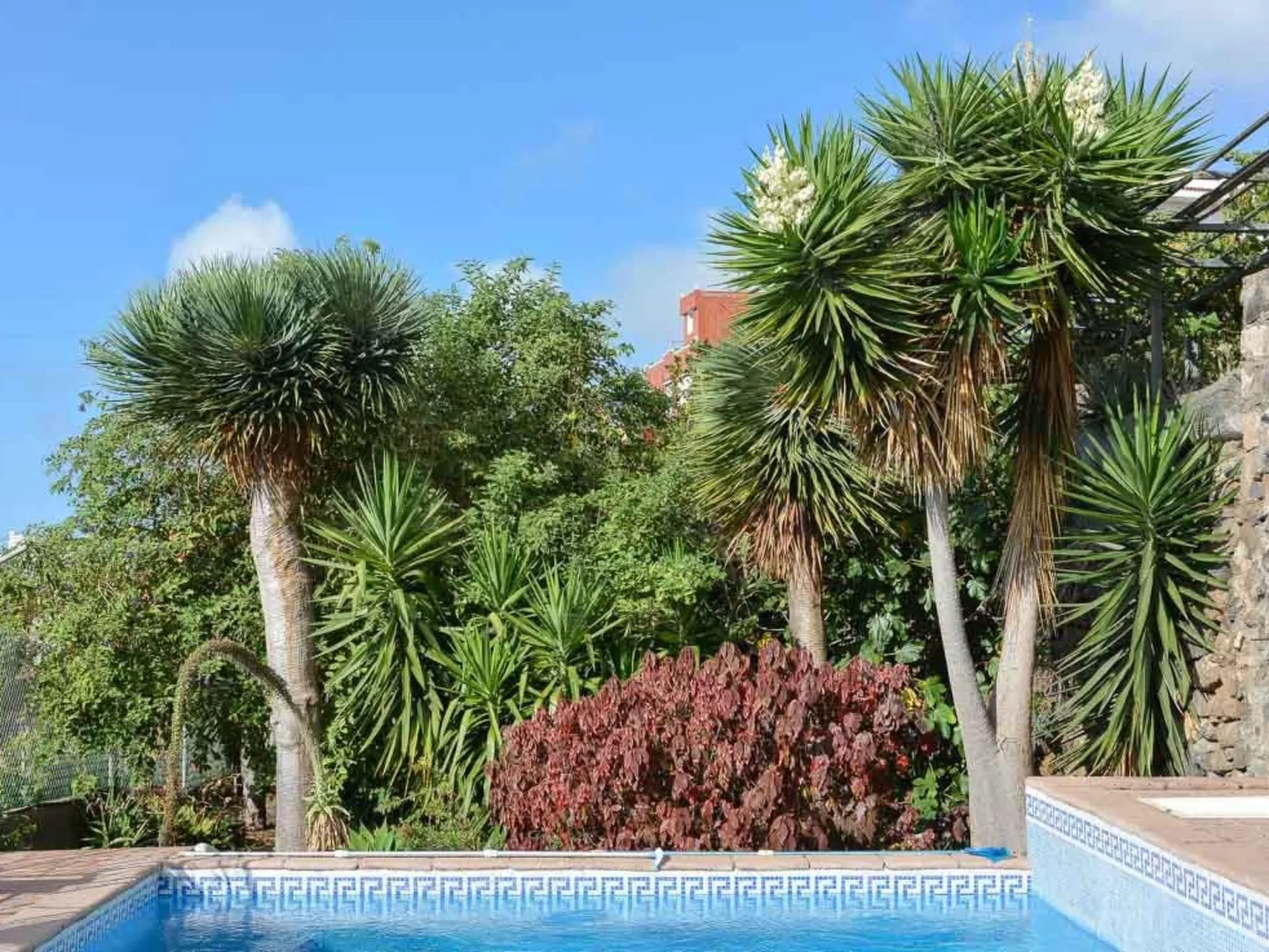 Renovierte Finca Paradies mit privatem Pool-Image-tags.info