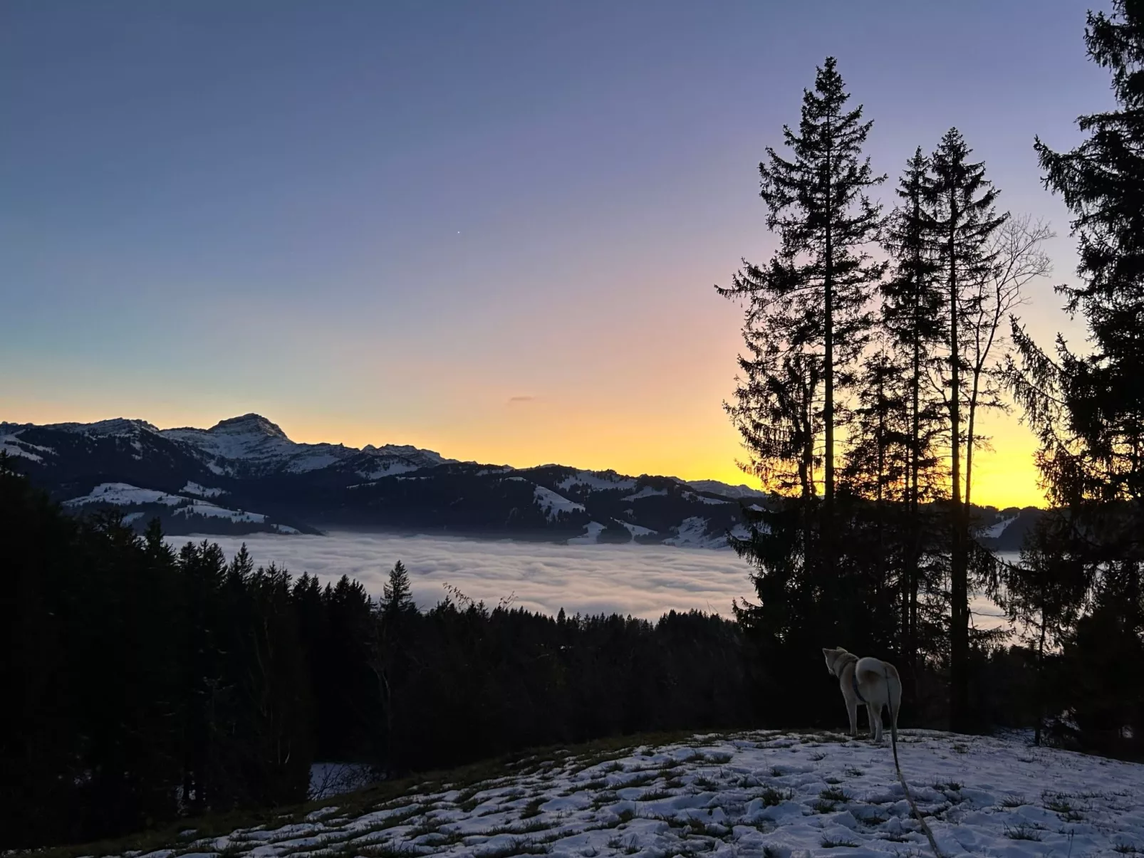Sonnige Maisonette-Buiten