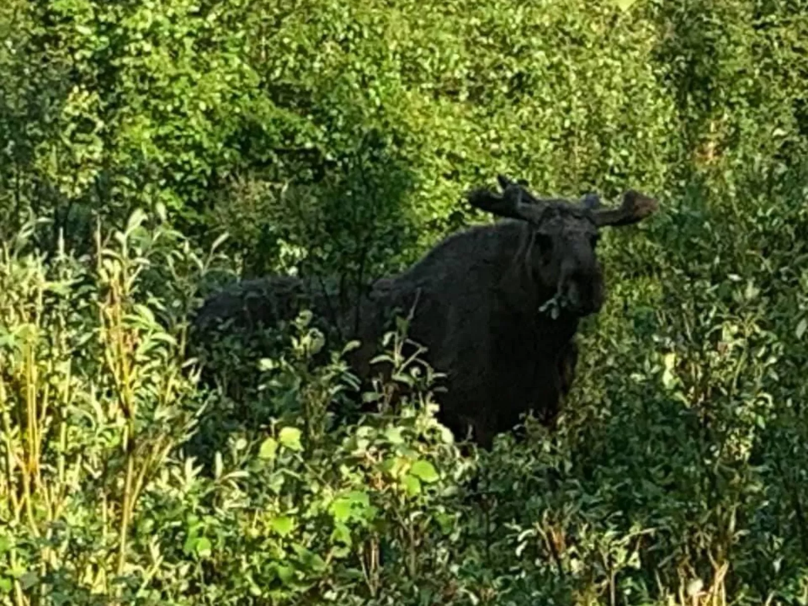 Zu vermieten in der Nähe von Jokkmokk-Buiten
