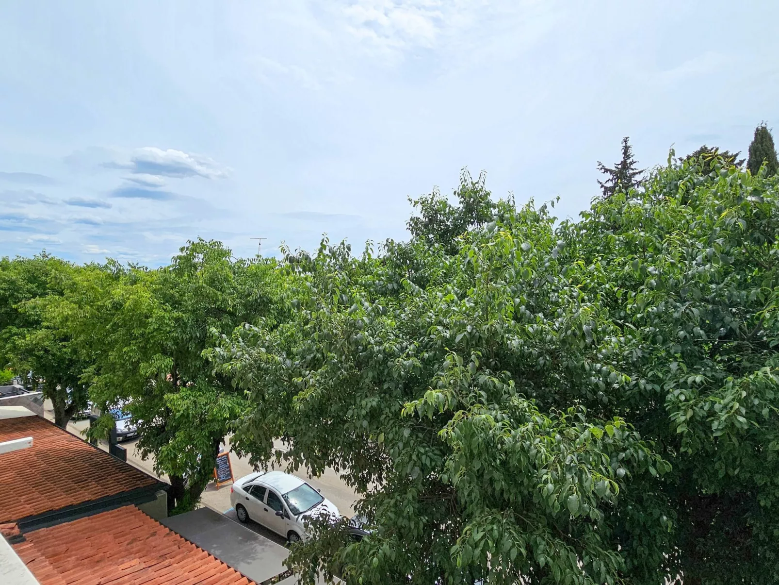 "Olga" mit Balkon-Buiten