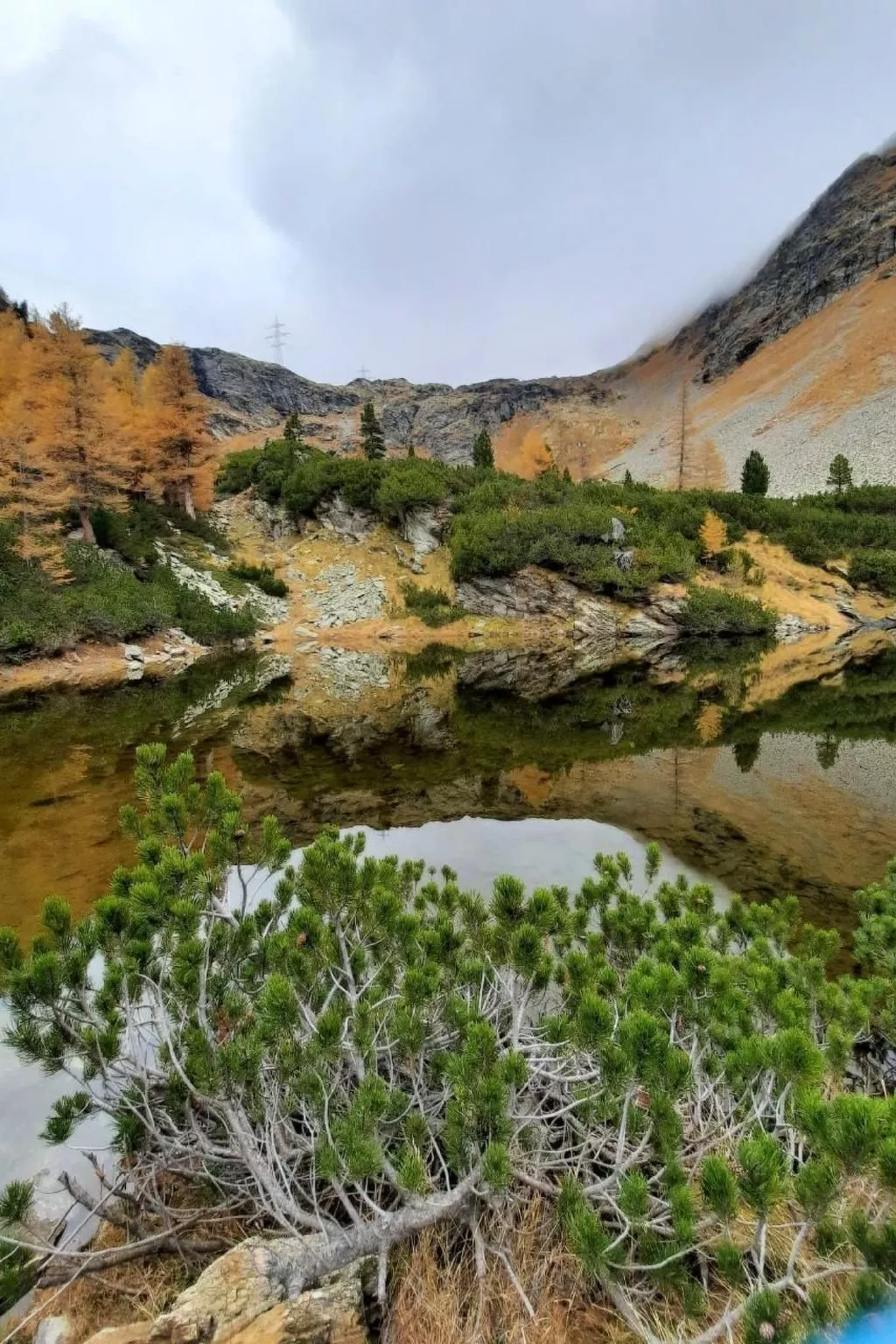Sonnige 2.5-Zimmer Wohnung an ruhiger Lage-Buiten