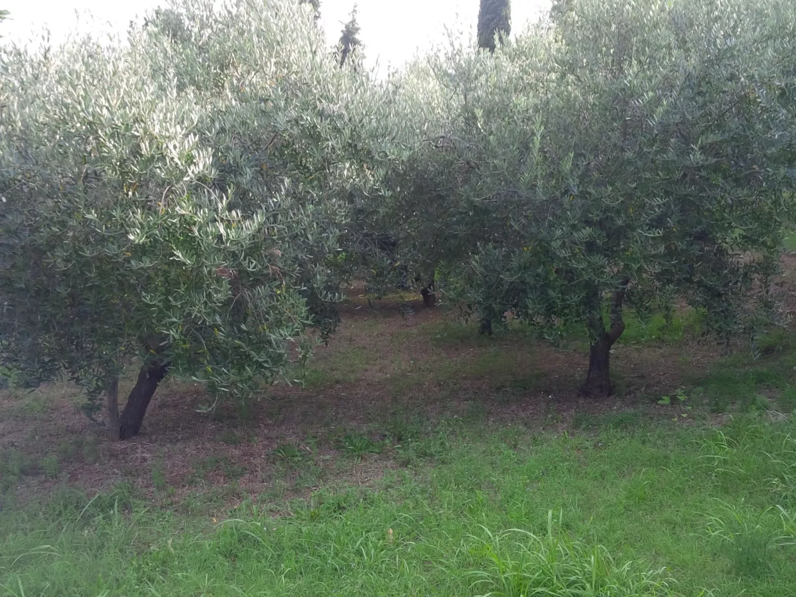 Appartement mit Balkon-Buiten