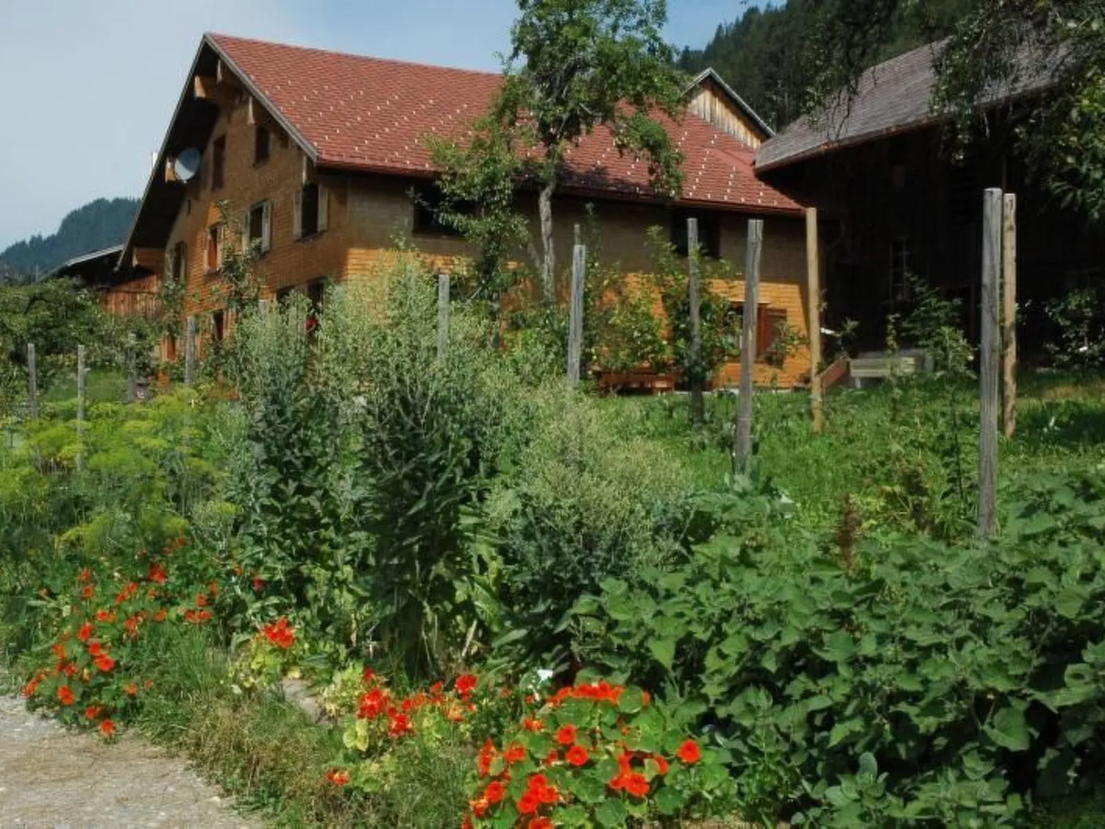 Dünser in Dünserberg-Buiten