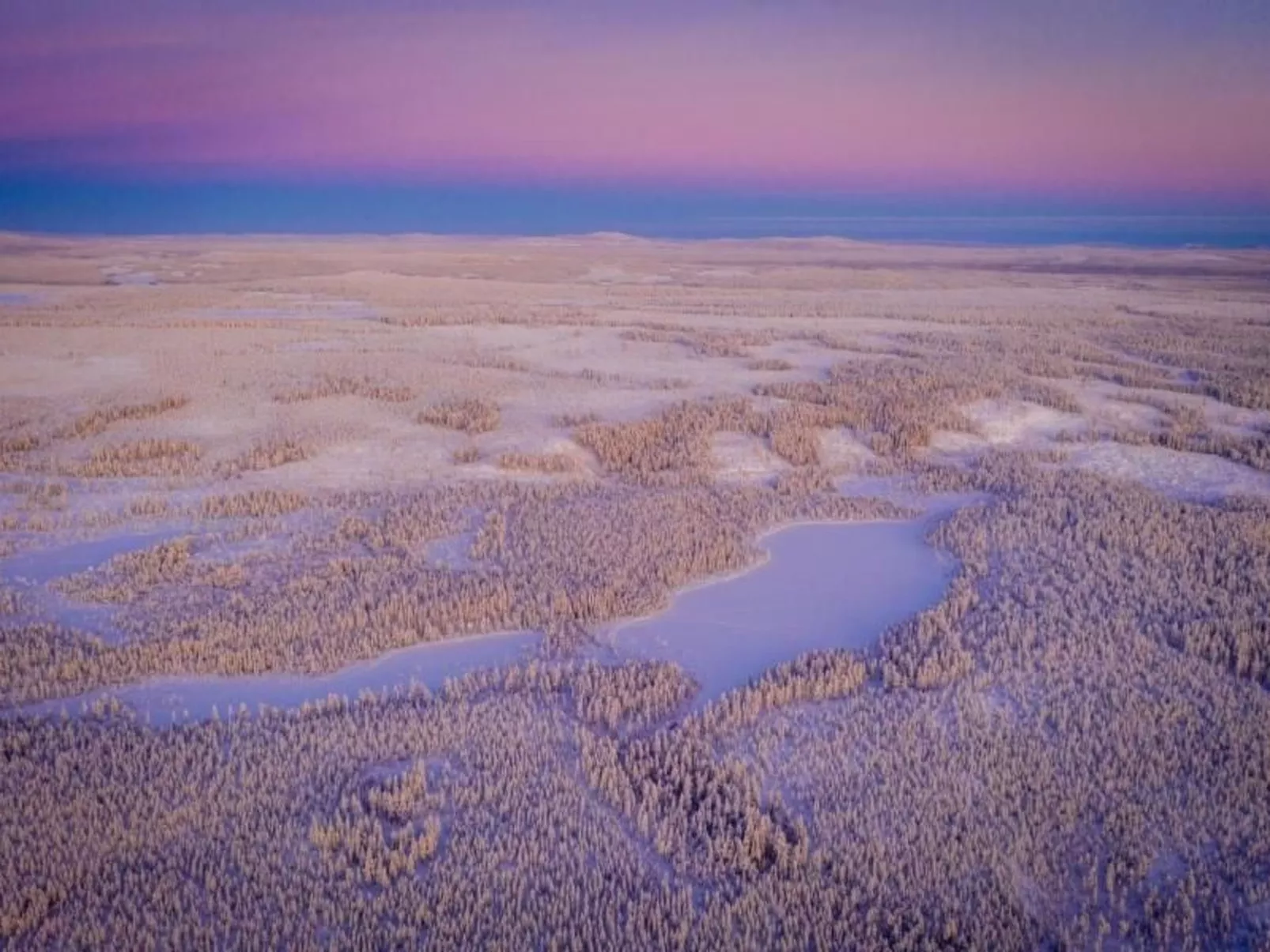 Gemütliches Ferienhaus in der Wildnis Lapplands-Image-tags.info