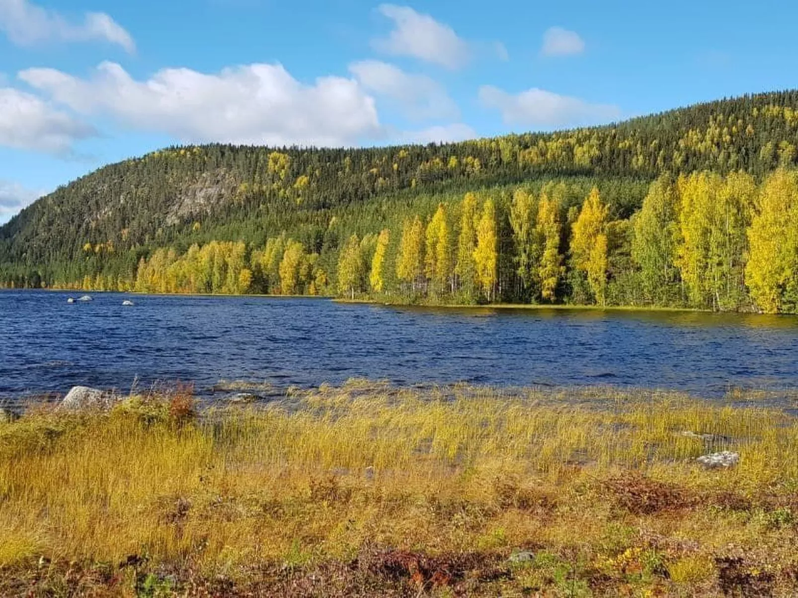 Gemütliches Ferienhaus Angermanland - höga Kusten-Buiten