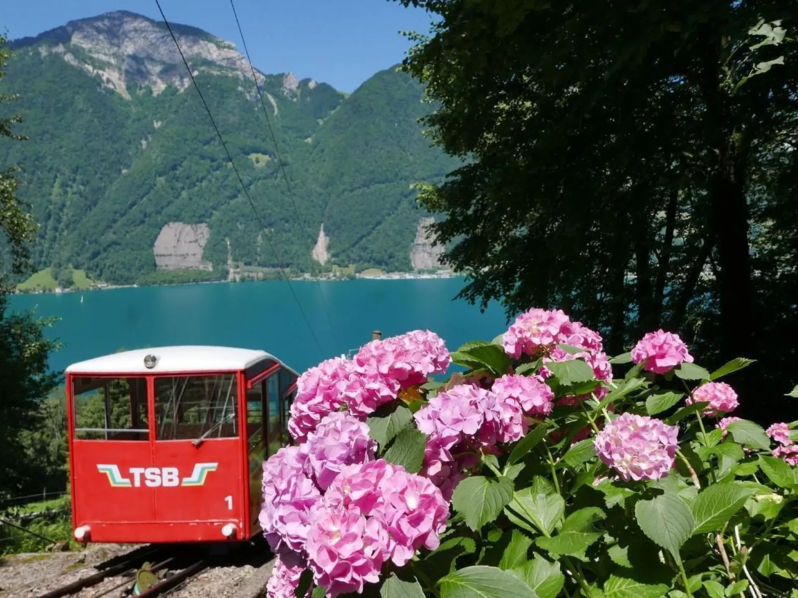 Villa Seelisberg mit Jacuzzi und Panoramablick-Buiten