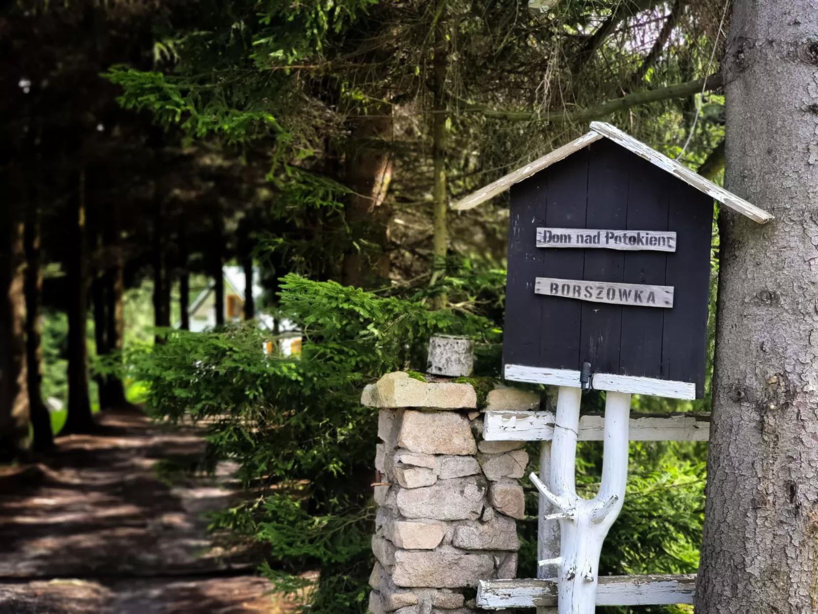 Exklusives Ferienhaus mit Schwimmbad direkt am Wasser-Buiten