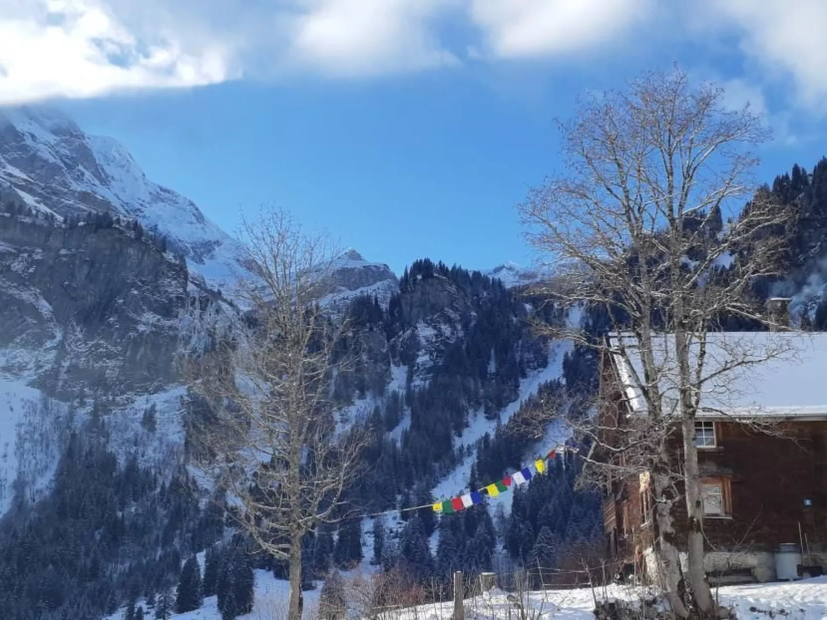 Rietberg 8 Braunwald