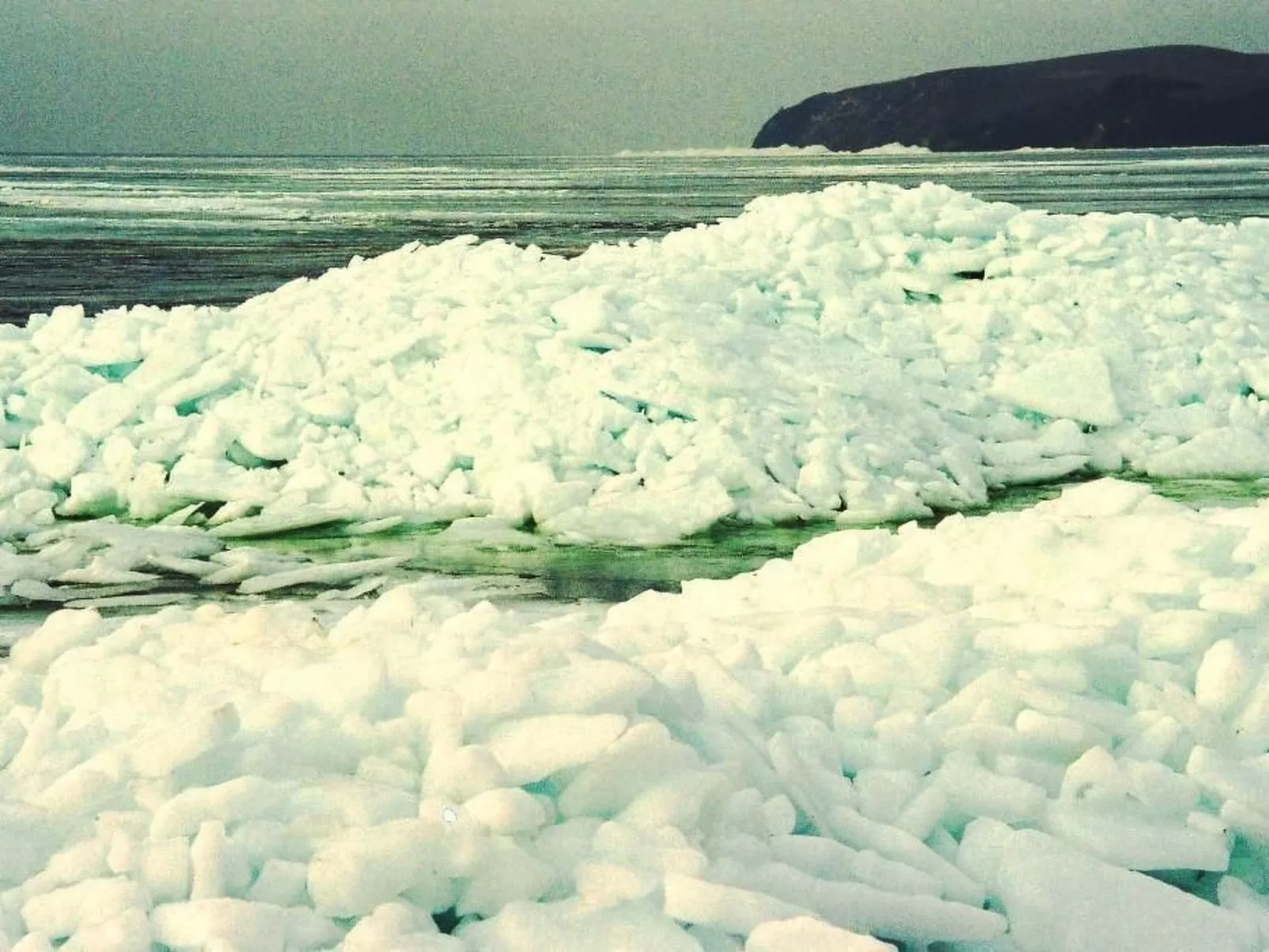 Mit Sauna und Schwimmbadnutzung-Buiten