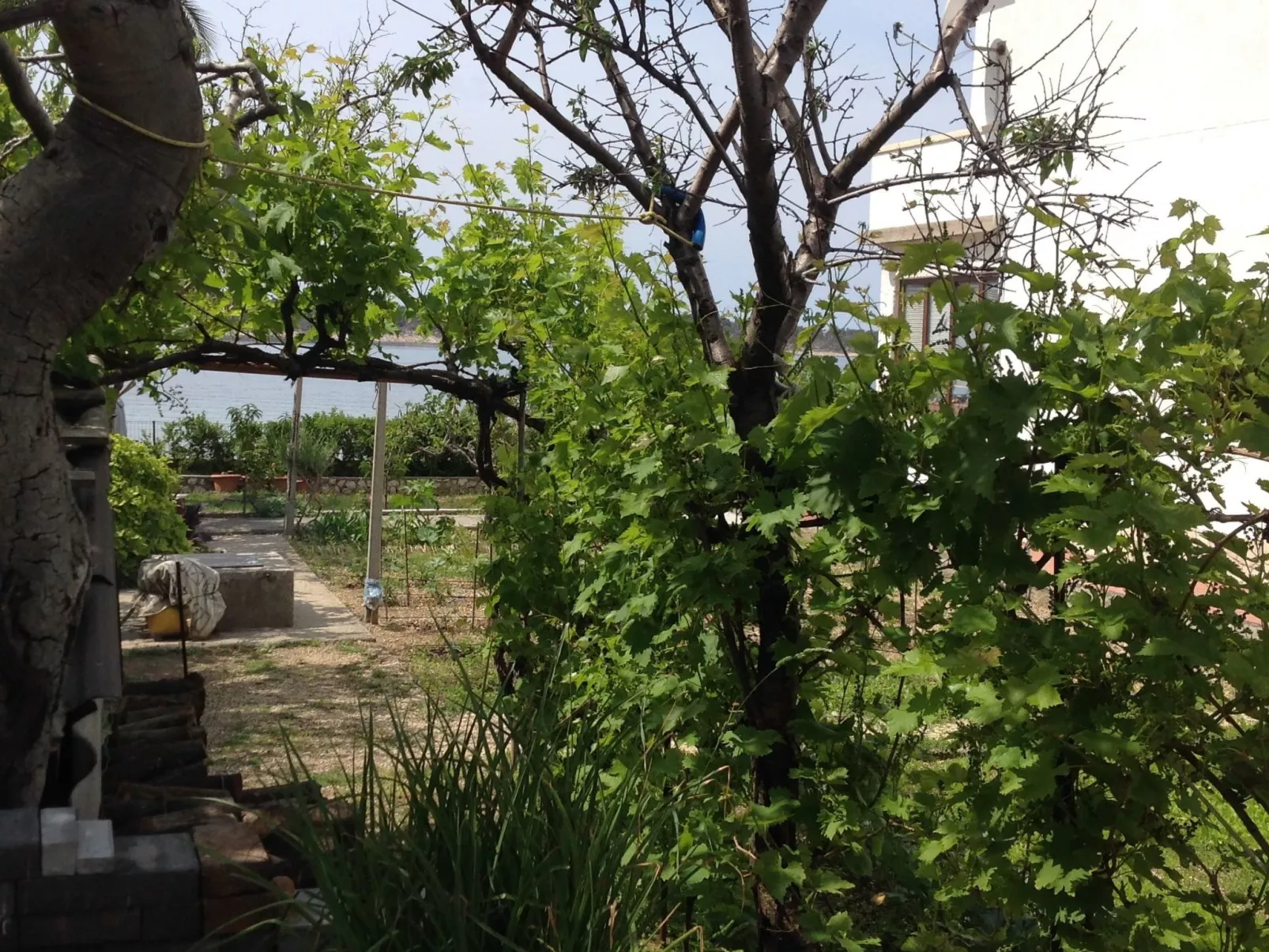 Wohnung 1 mit Meerblick-Buiten