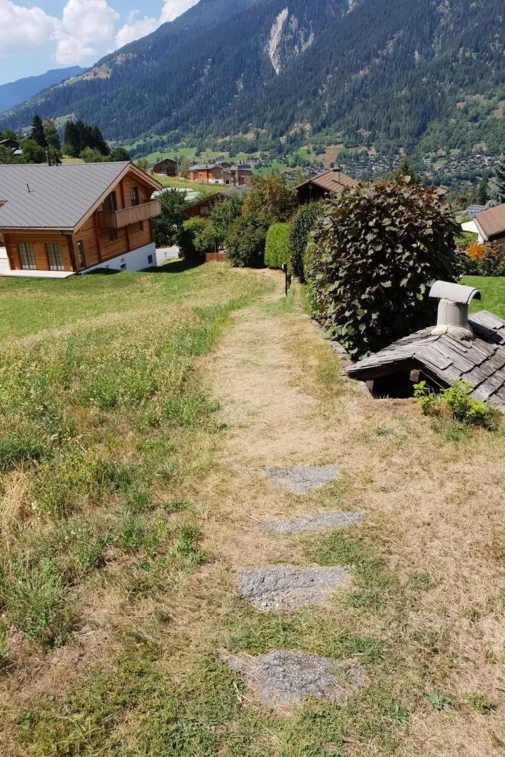 Ritz-Image-tags.info