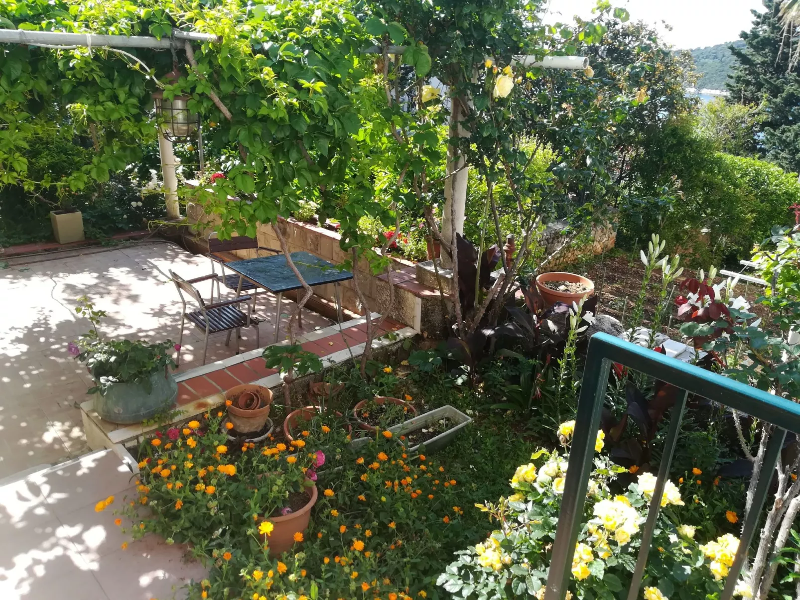 Für 3 Personen ca. 30 m&sup2; in Dubrovnik, Dalmatien (Dubrovnik-Neretva)