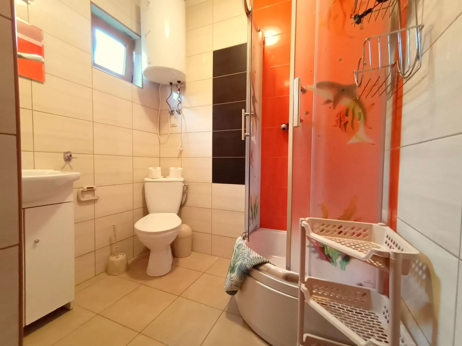 "Paradise Star Bobolin"-Image-tags.info