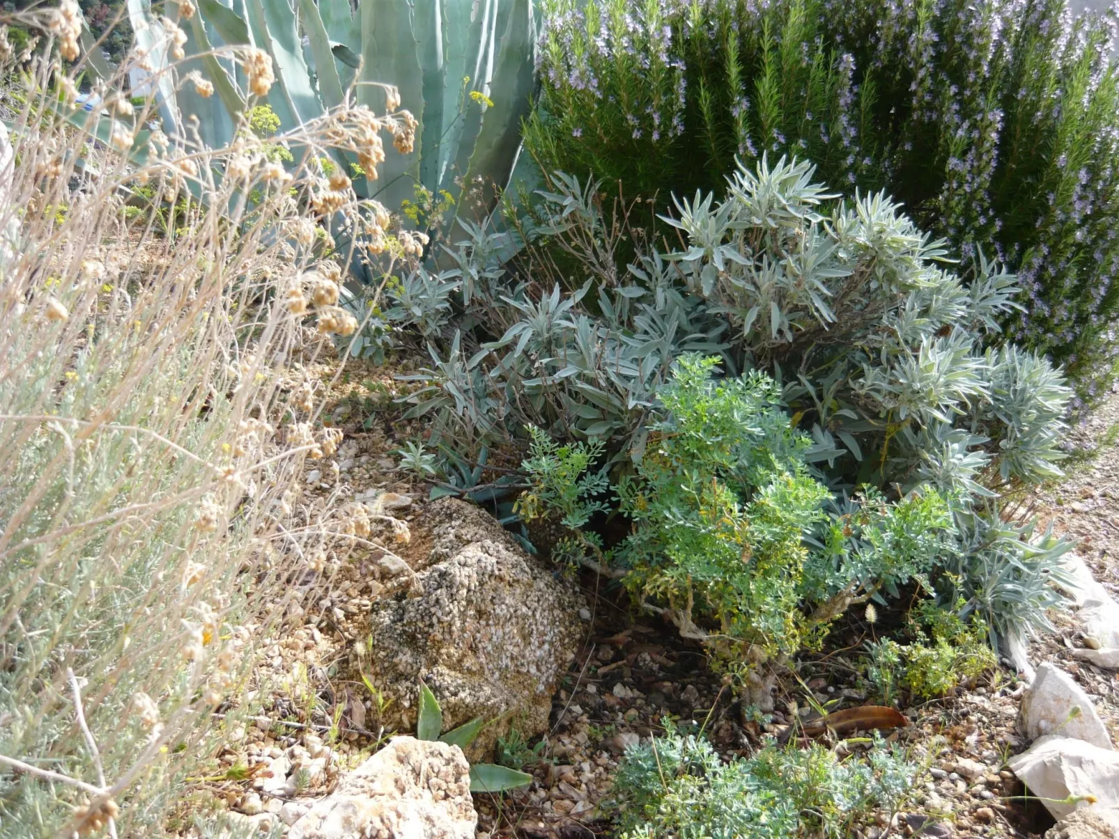 Insel Rab Jadro-Buiten