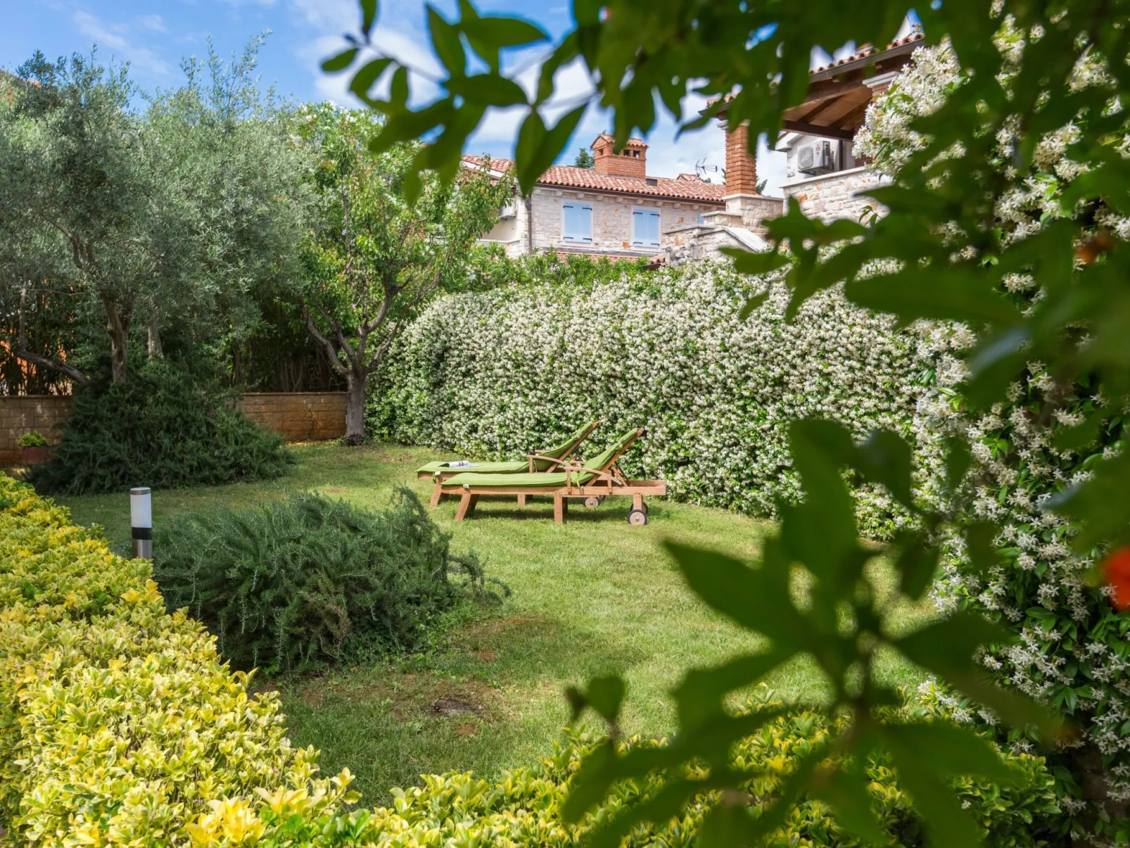 Green Marea-Image-tags.info