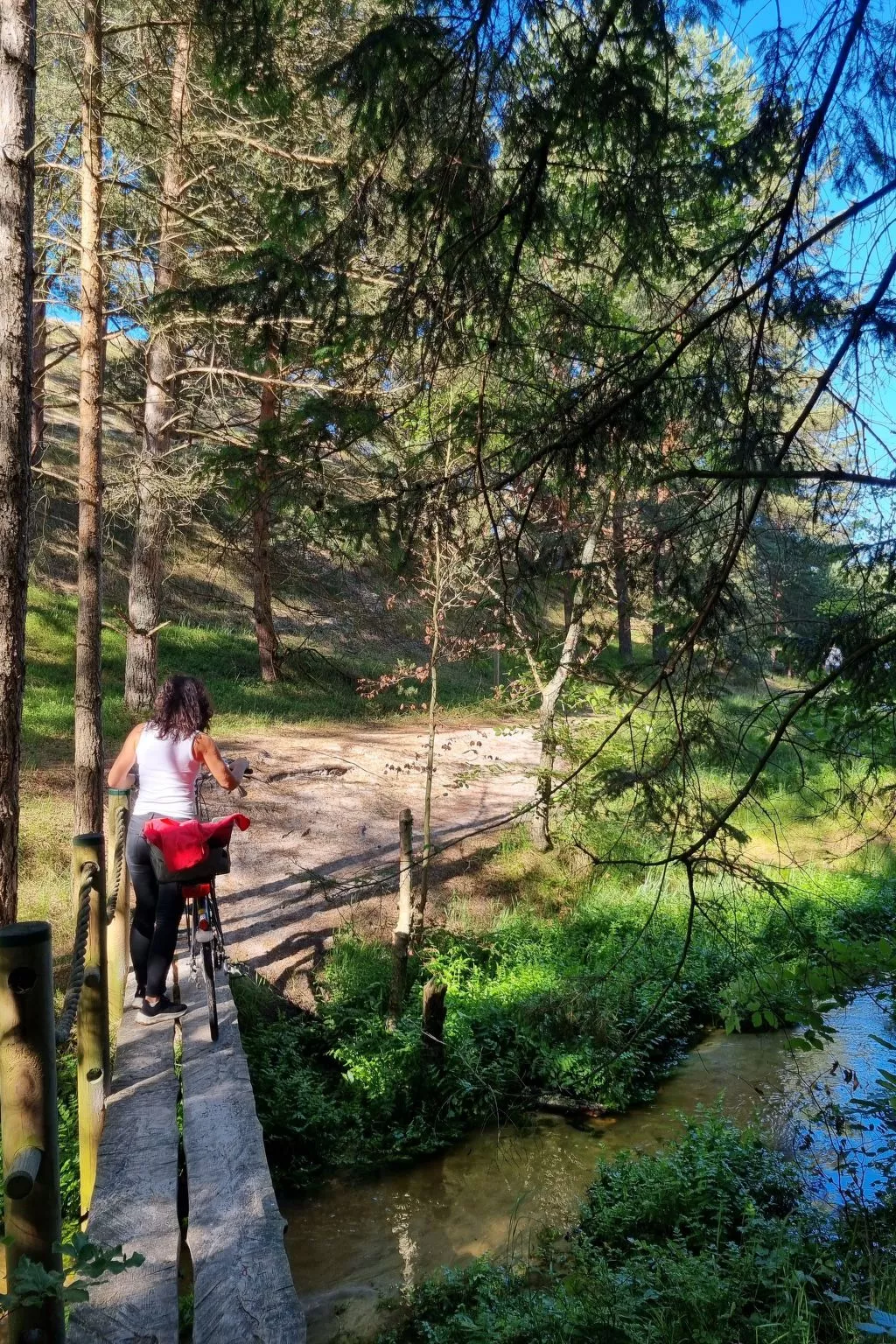 Lublewo21 Ferienhäuser - Image-tags.info