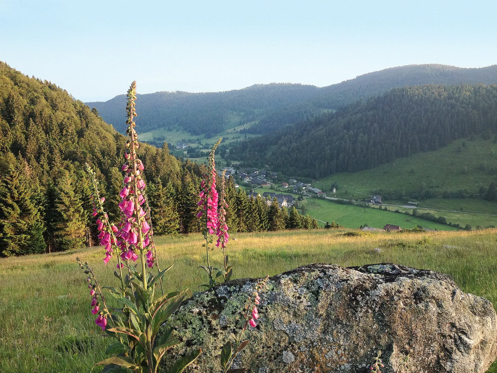 Schwarzwaldhaus St. Blasien, direkt am Bach-Omgeving