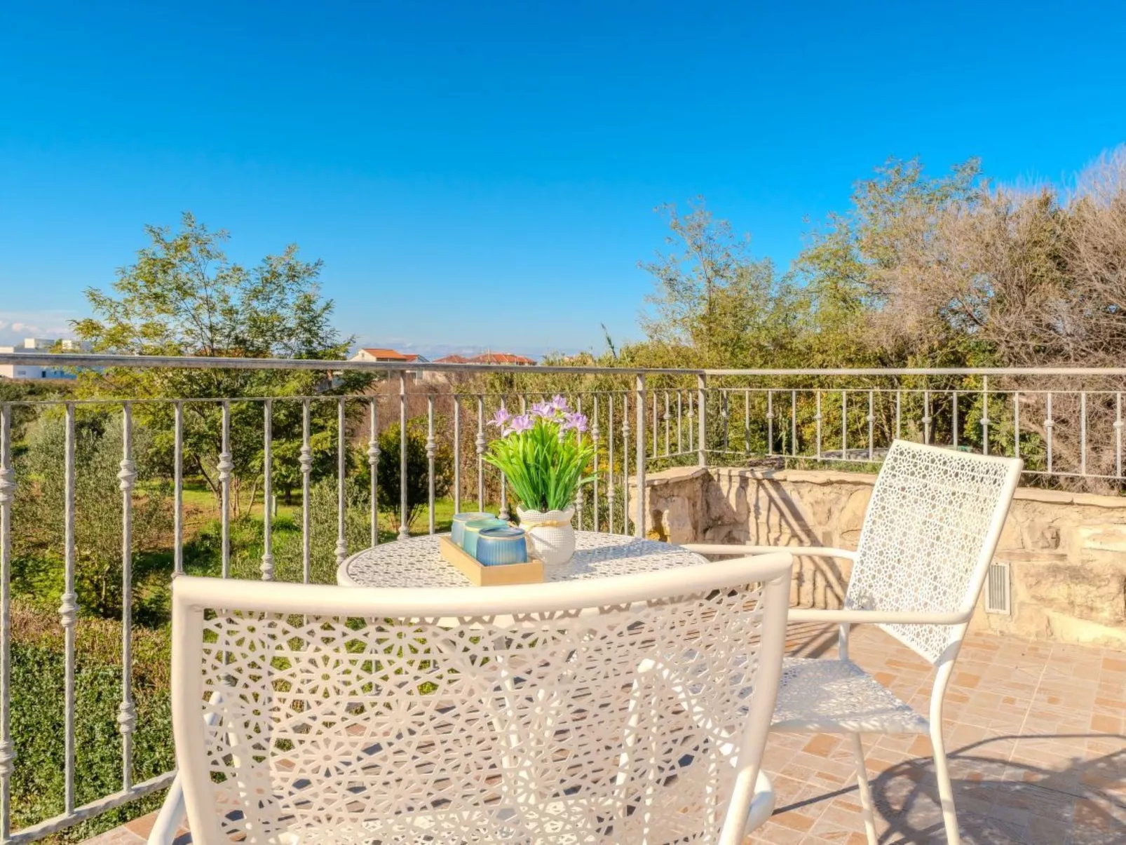 Orhideja - Agentur TA Leut-Image-tags.info