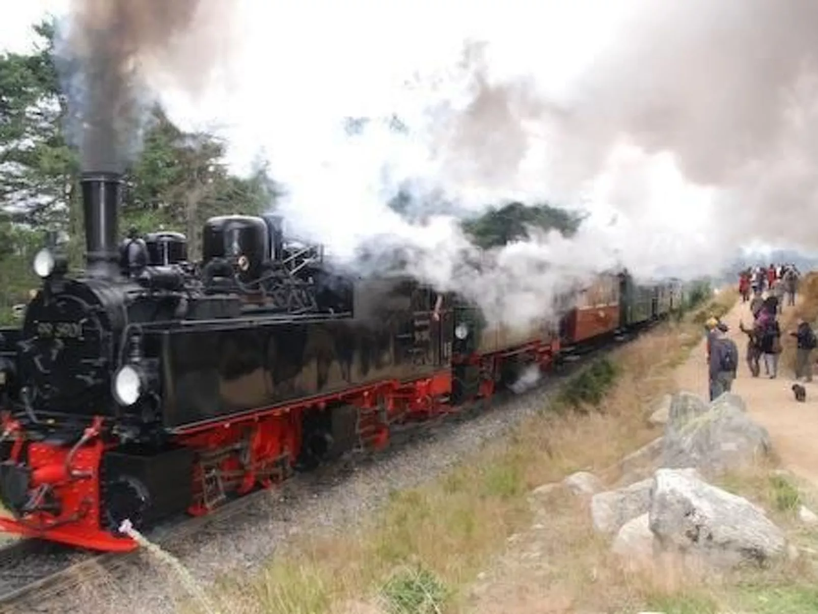 Wohnung in Bad Harzburg mit Garten-Image-tags.info