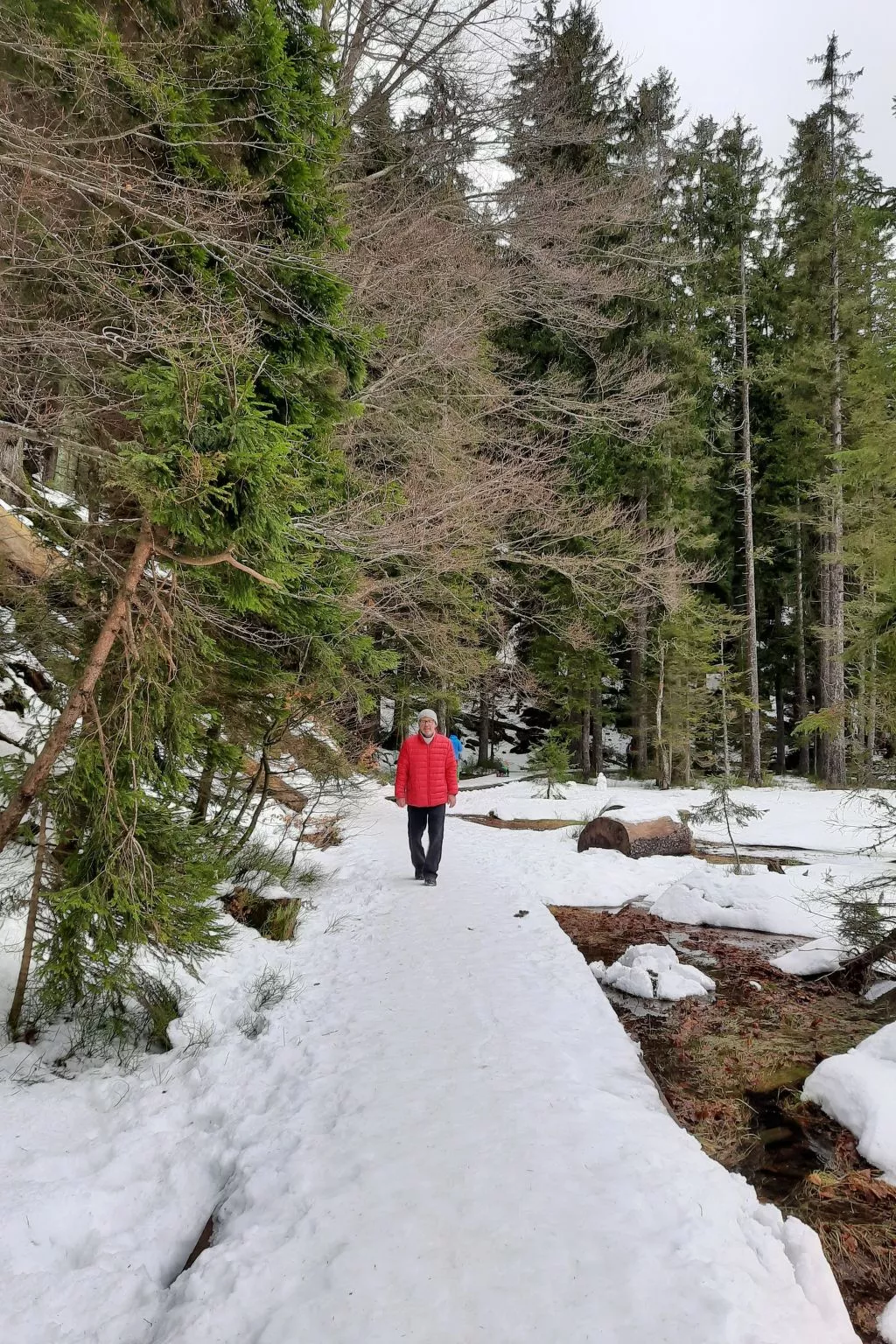 Seitz 2 in Bayerisch Eisenstein-Buiten