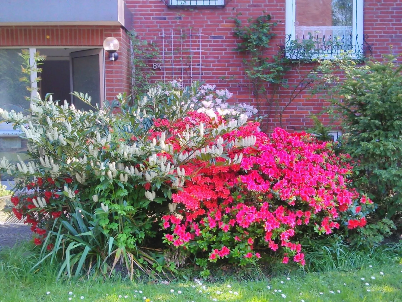 Wohnung in Altengroden mit Garten-Image-tags.info