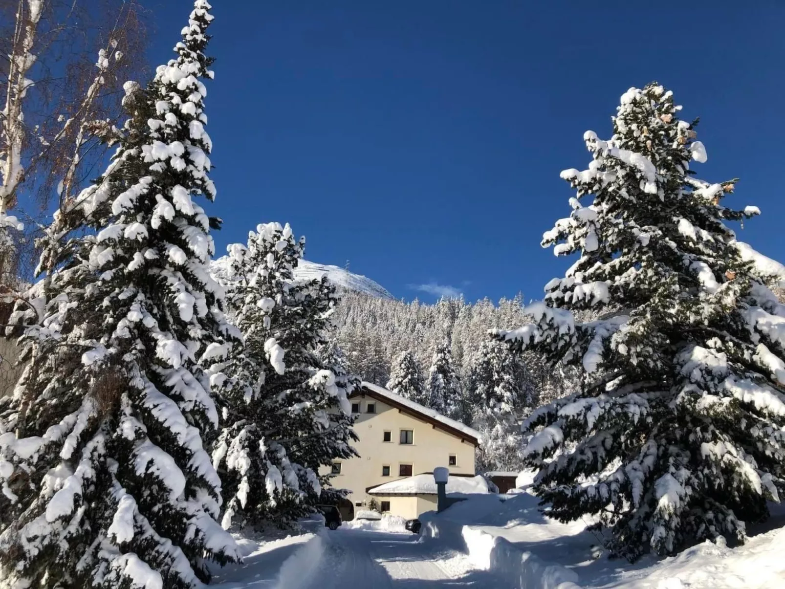 Residenz La Mora 24 - Buiten