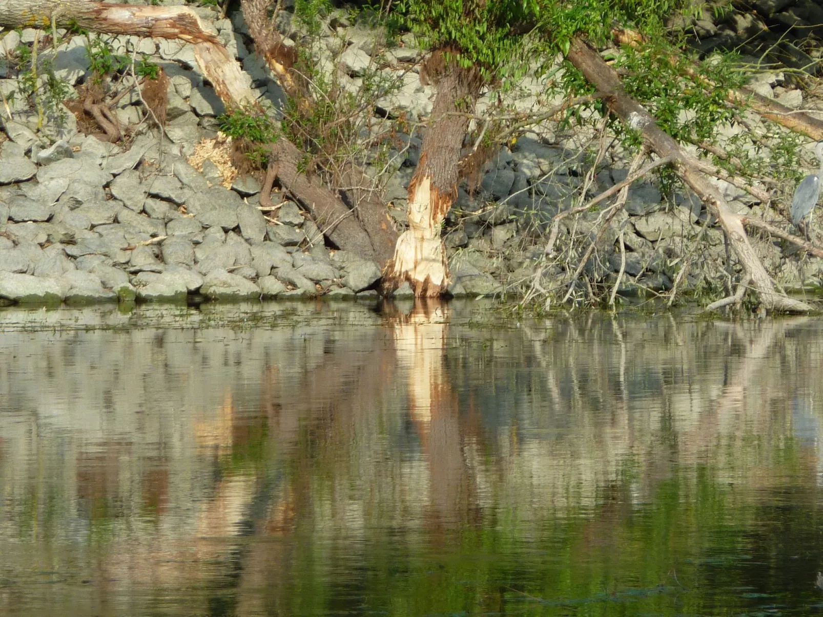 Ferienhas Diemelsee-Buiten