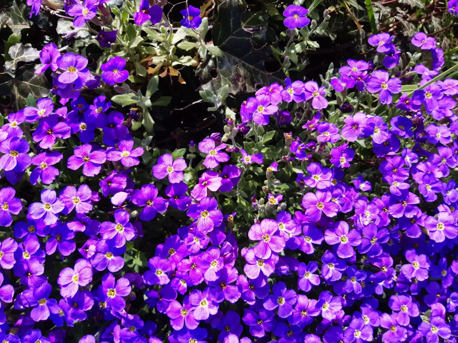 Finca "Motje" mit Aussicht-Buiten