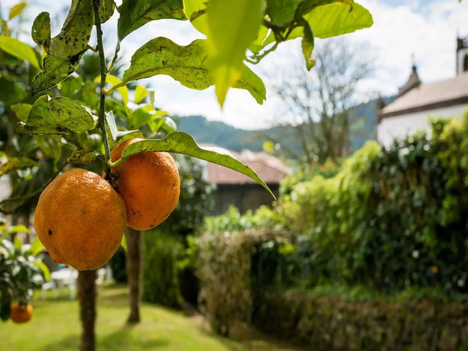 Haus der Stille-Buiten