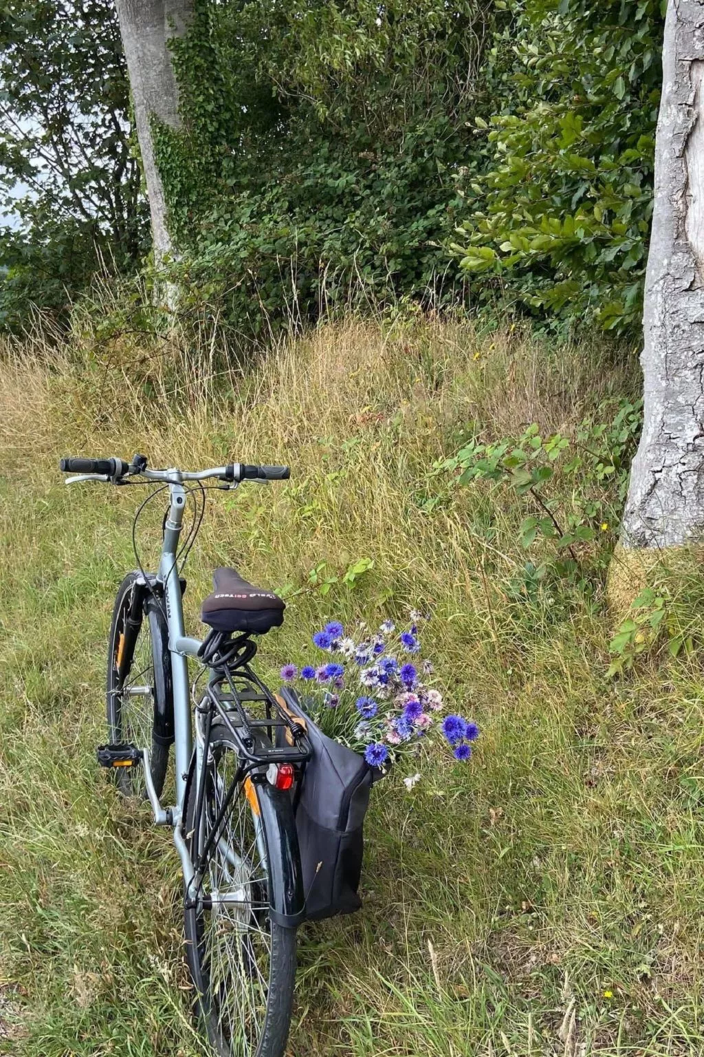 Neues normannisches Ferienhaus mit Charme die Kastanienbäume-Buiten
